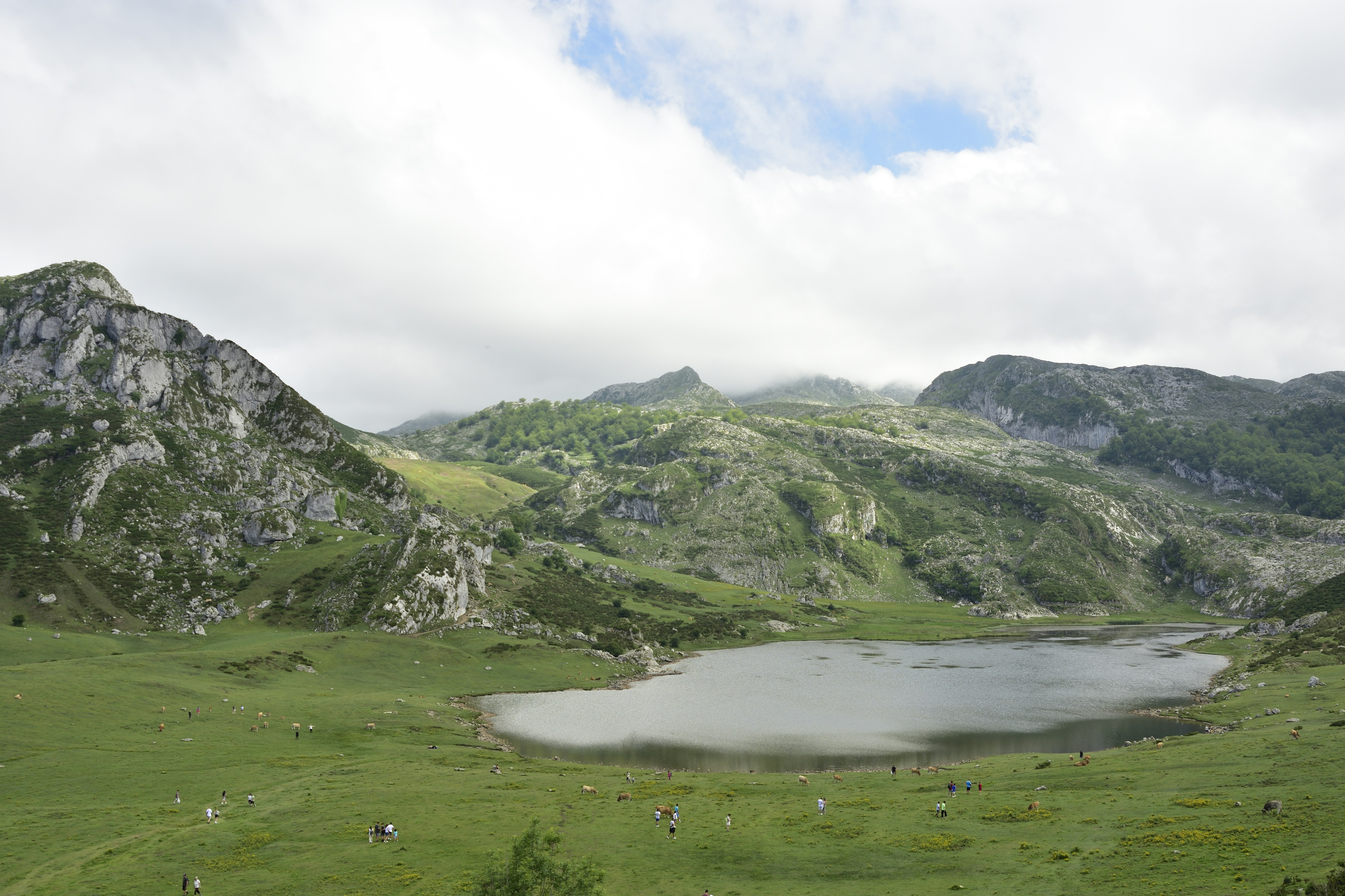 Un pequeño lago rodeado de montañas y hierba