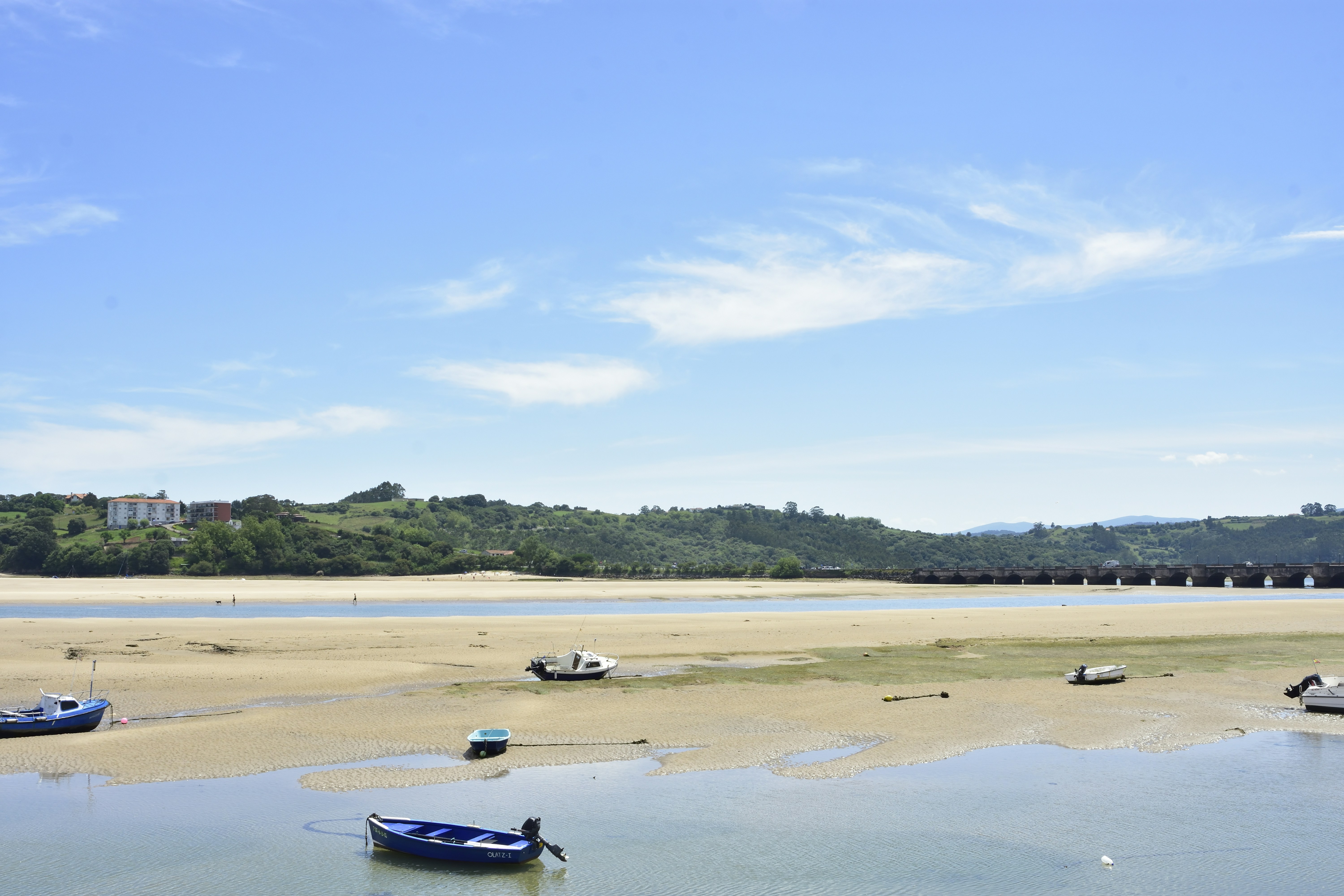 Un grupo de barcos sentados en lo alto de una playa
