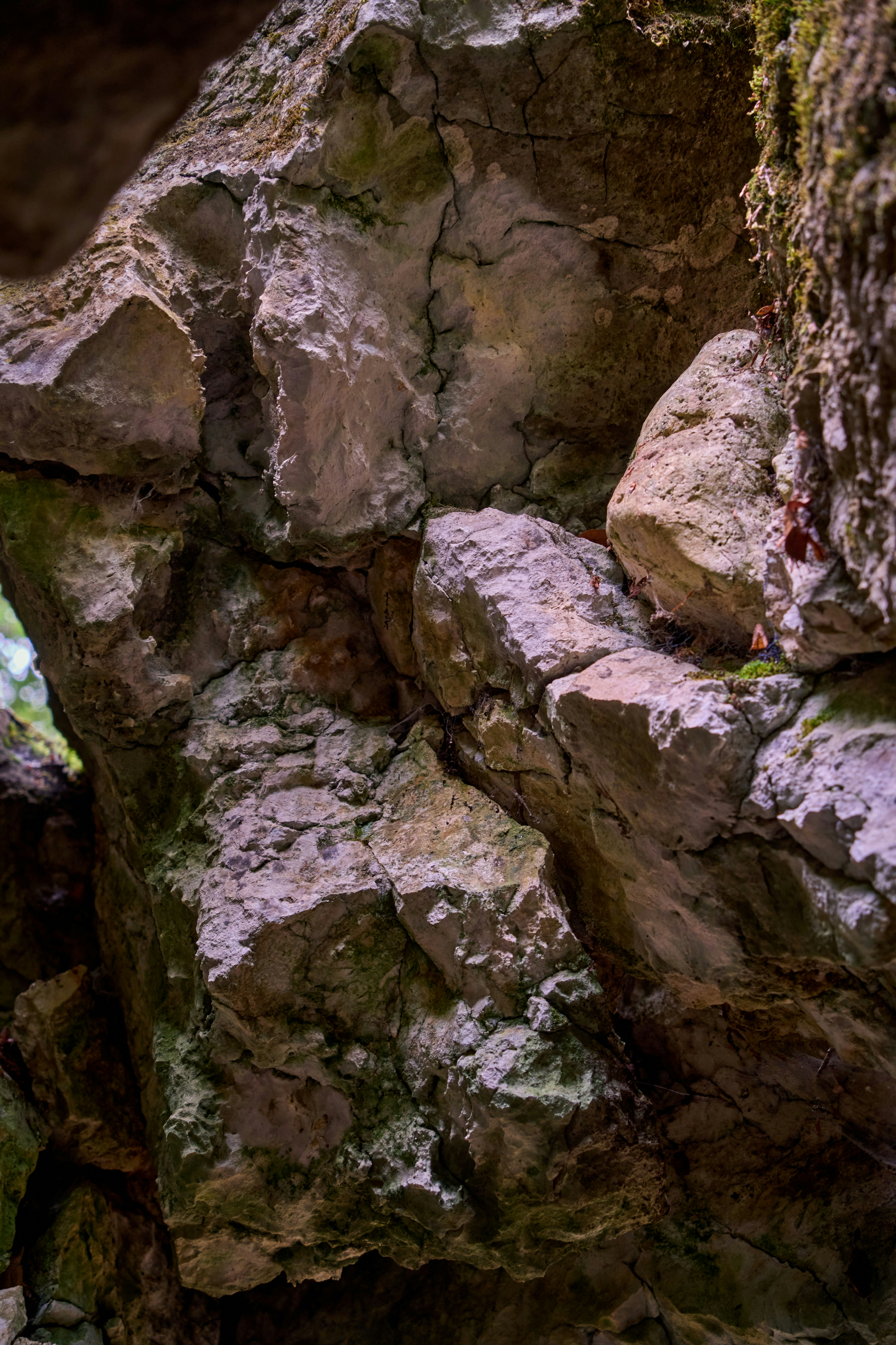 Photo by wolfgang_hasselmann