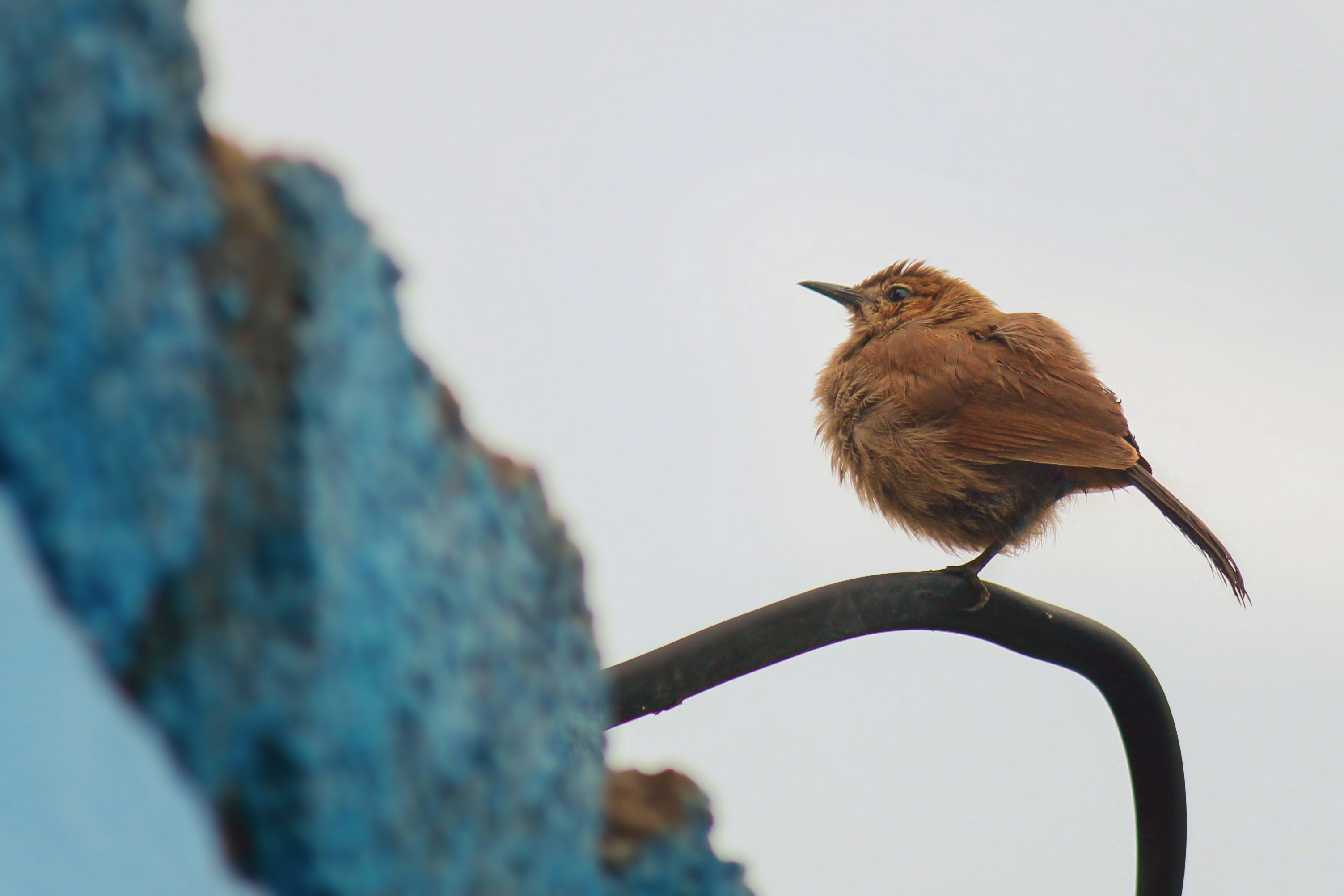 Telangana, India - None