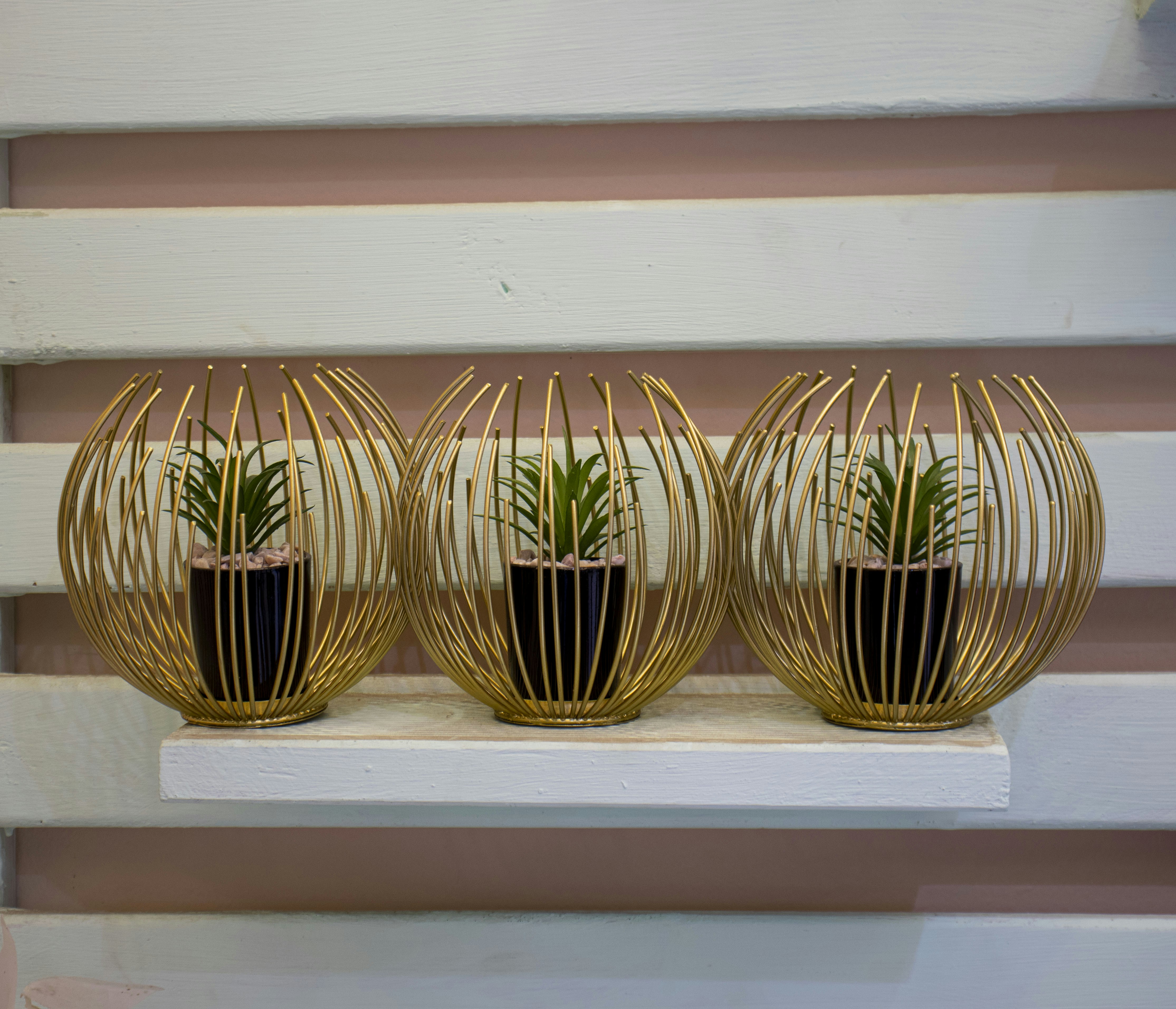 Photo by elgharb_922