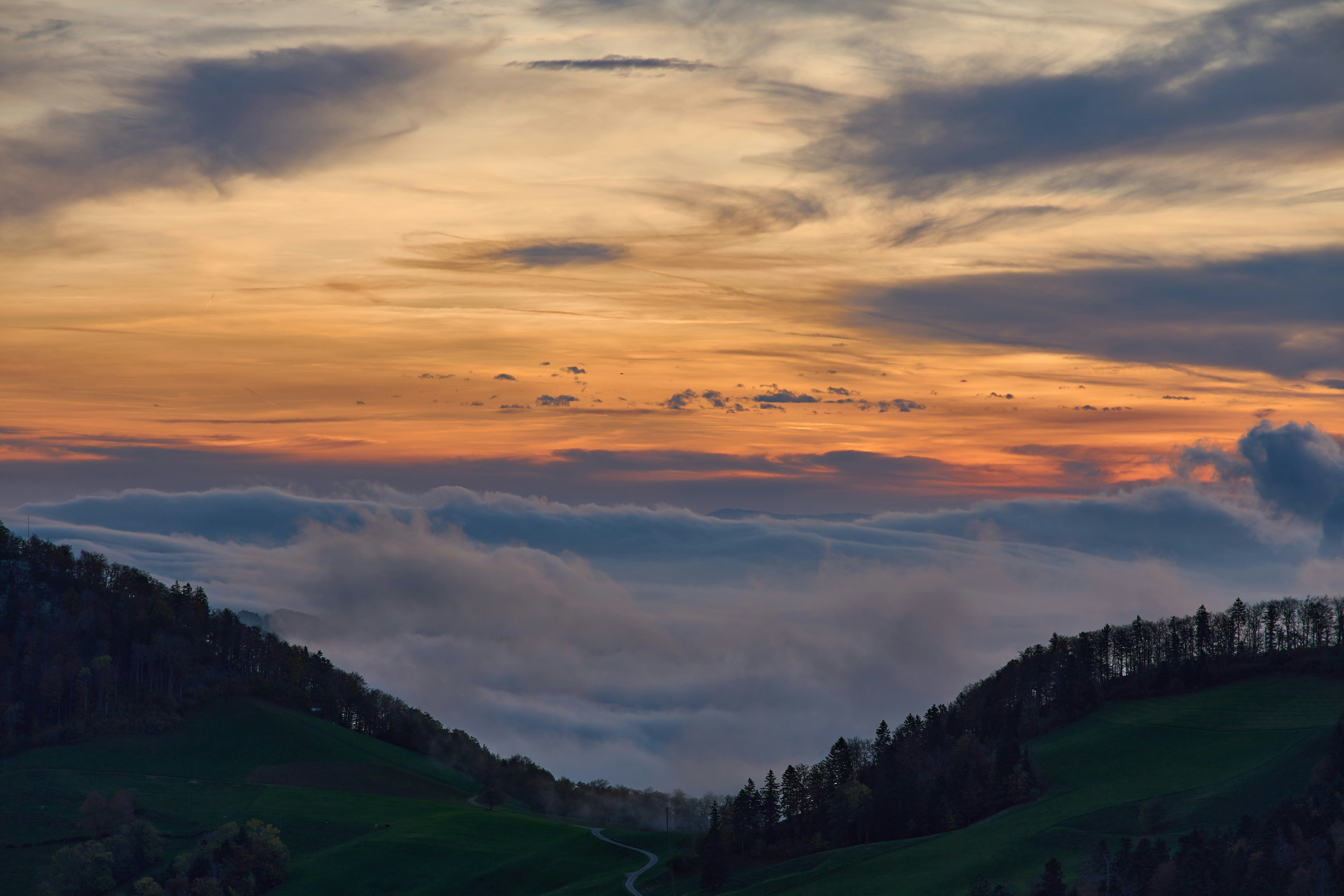 Photo by wolfgang_hasselmann