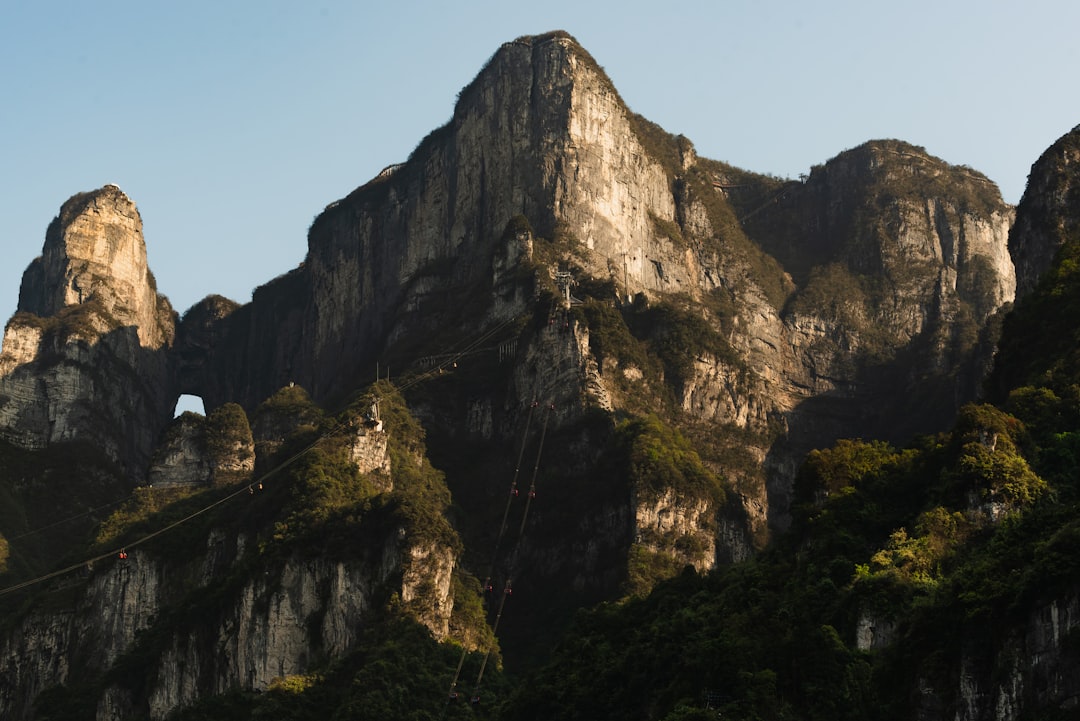 A mountain range with a bird flying over it,
