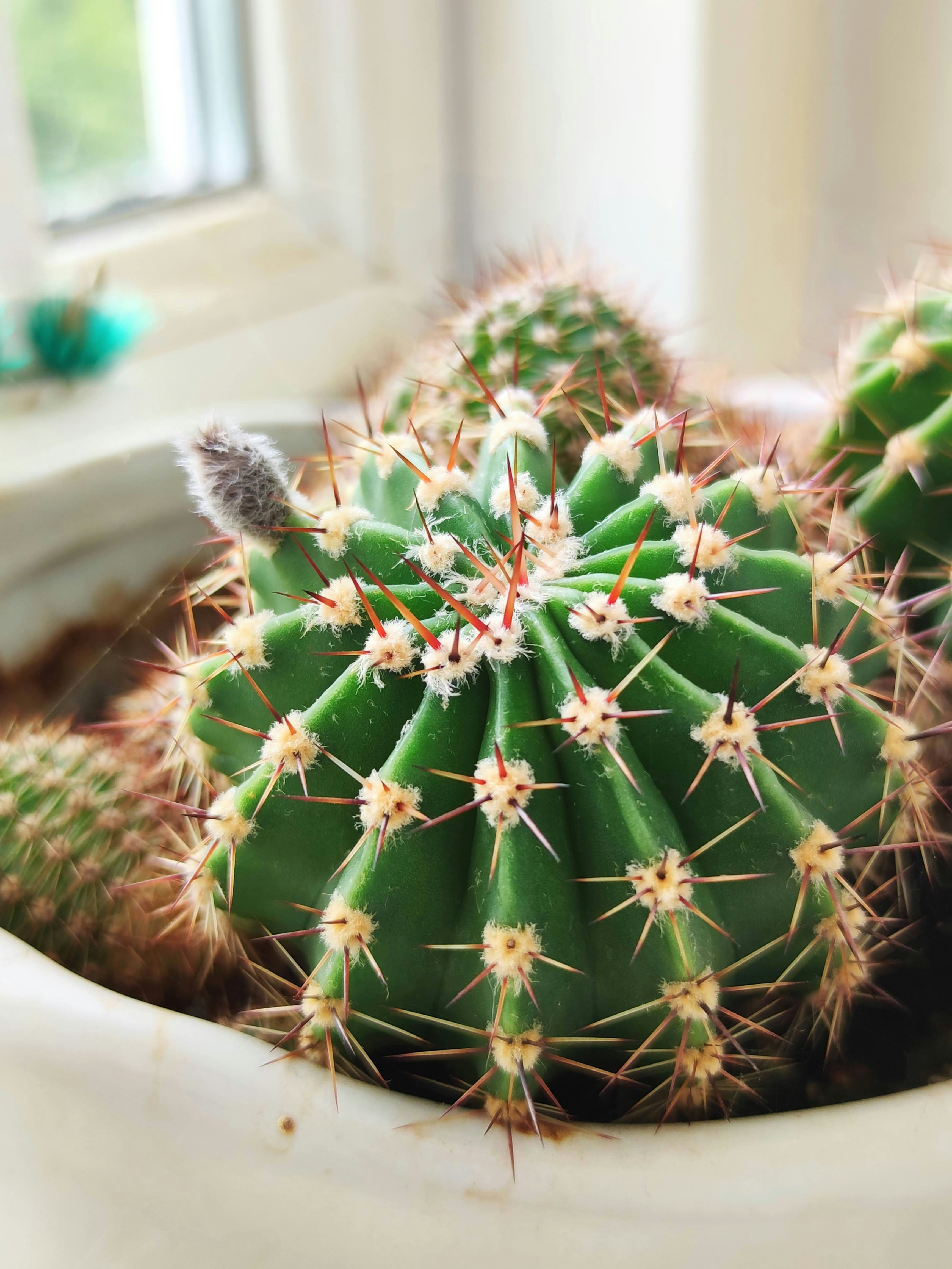 Photo by henrikvoiceofdenmark