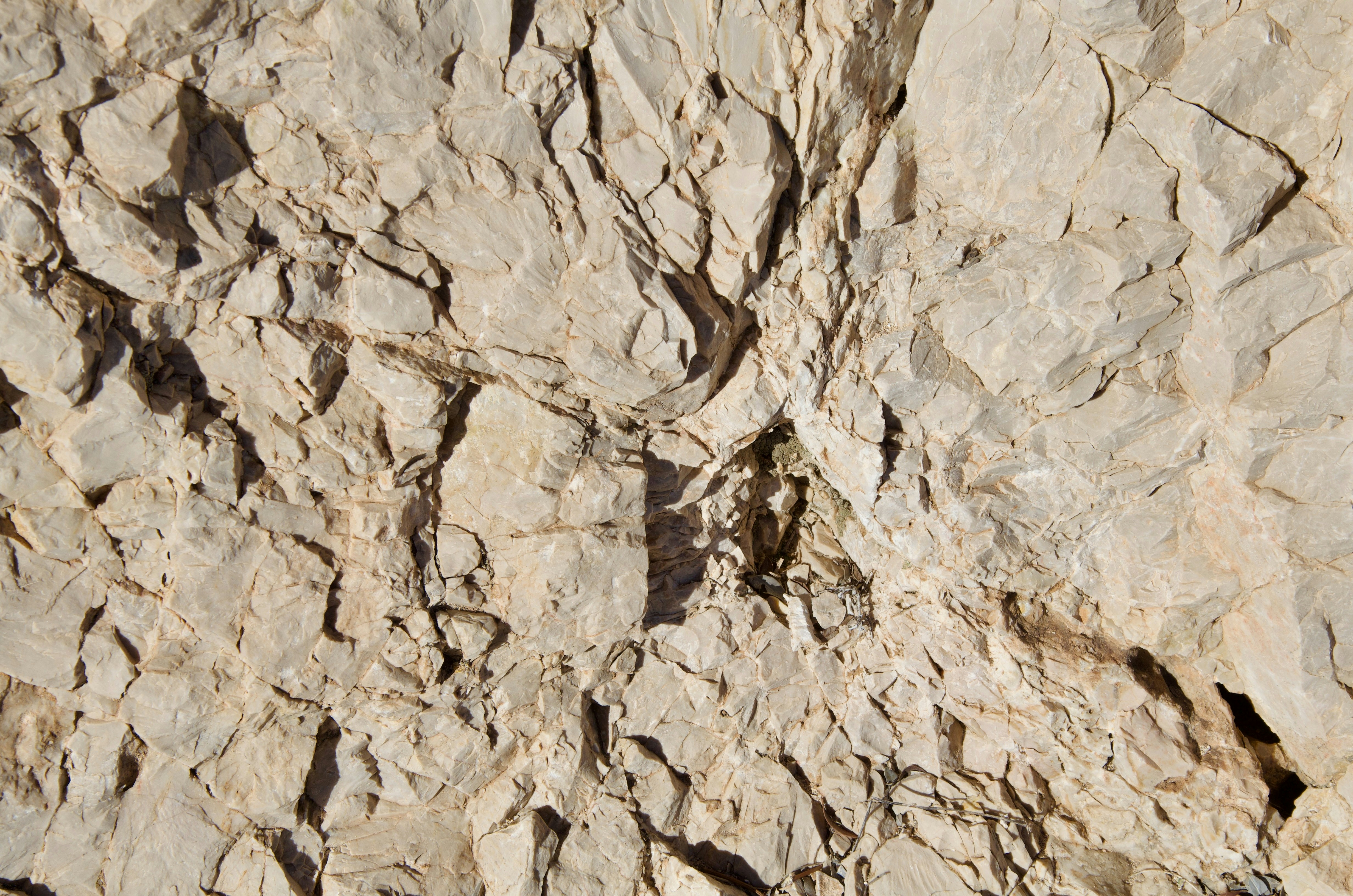 Photo by florian_osmers