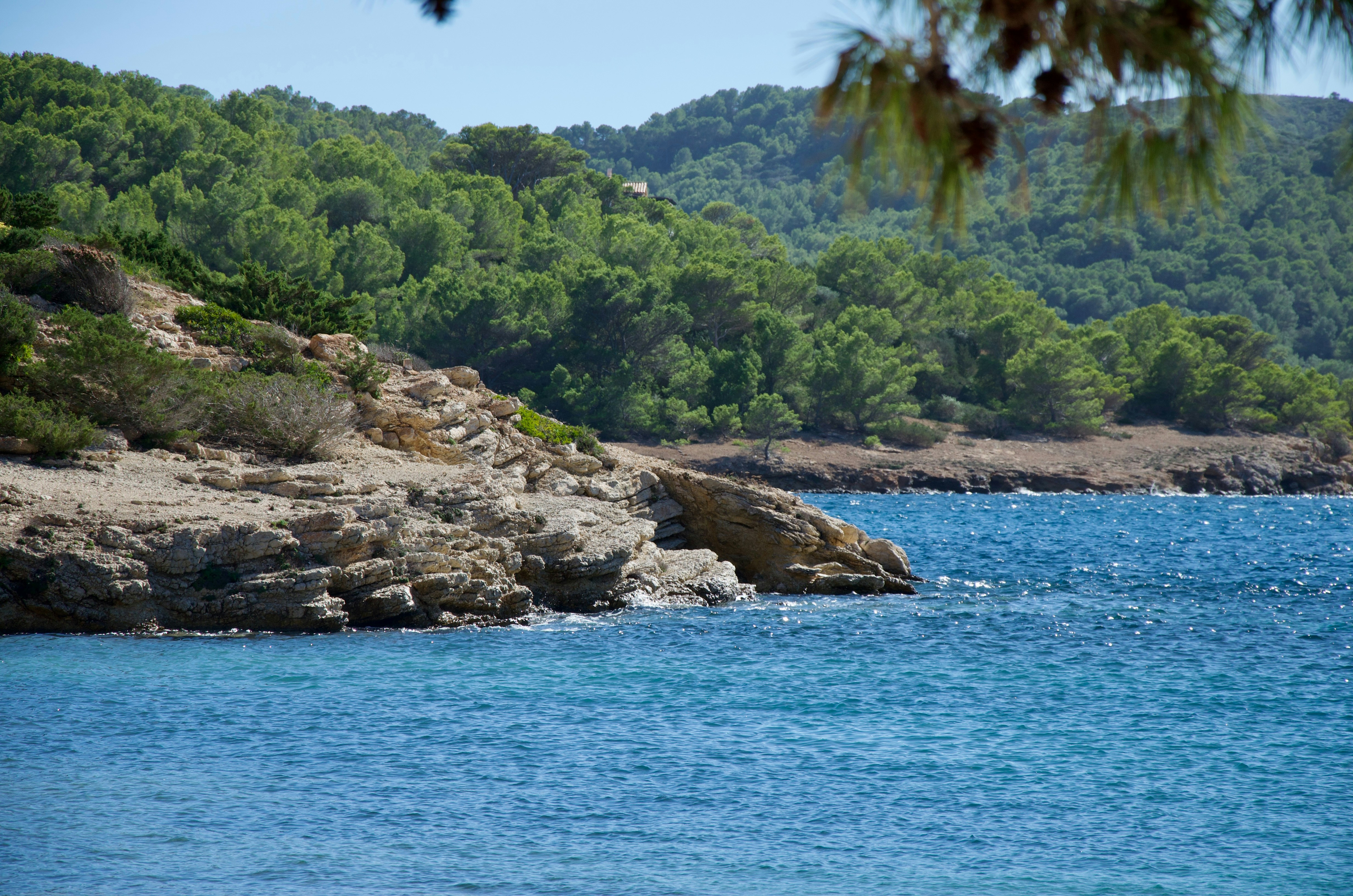 Photo by florian_osmers