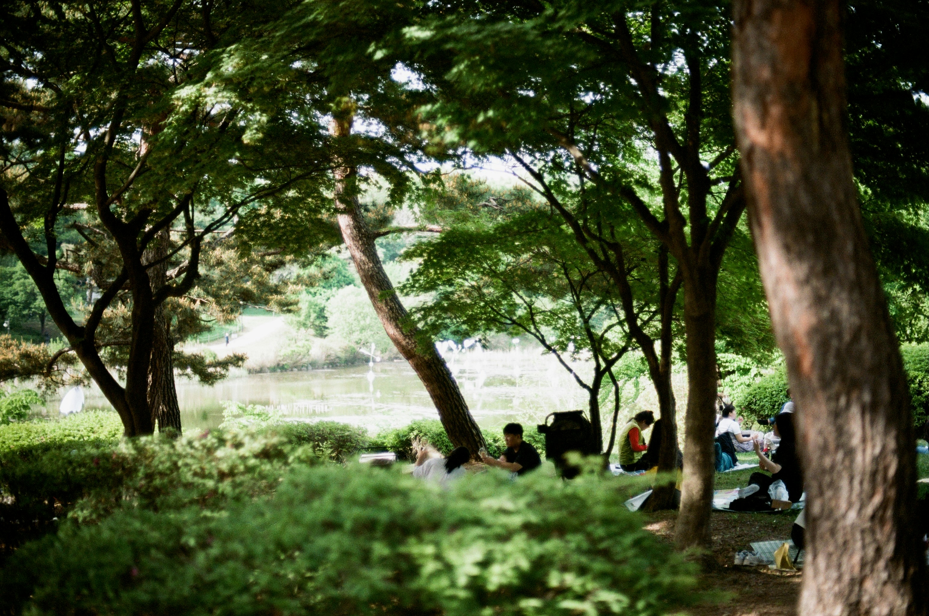 Photo by byquincy