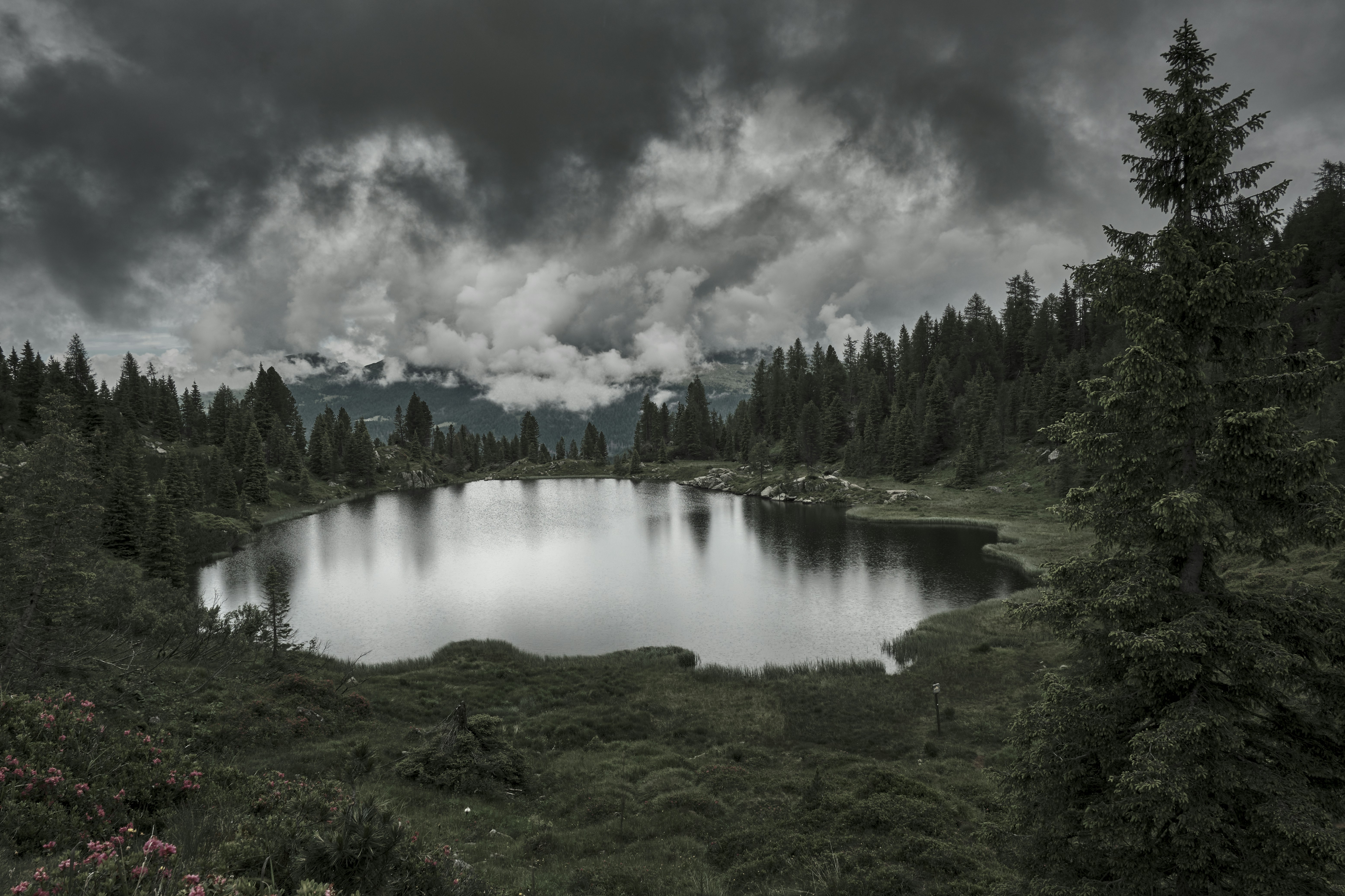 Photo by alessiofurlan