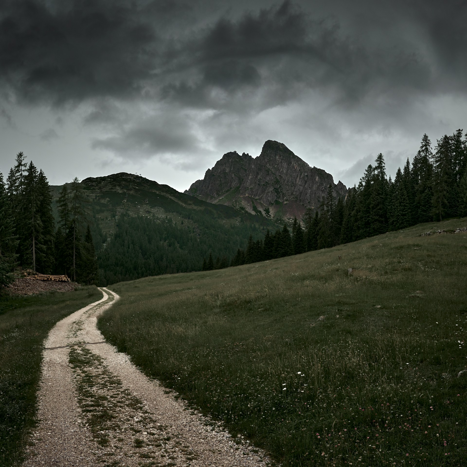 A dirt road in the middle of a field