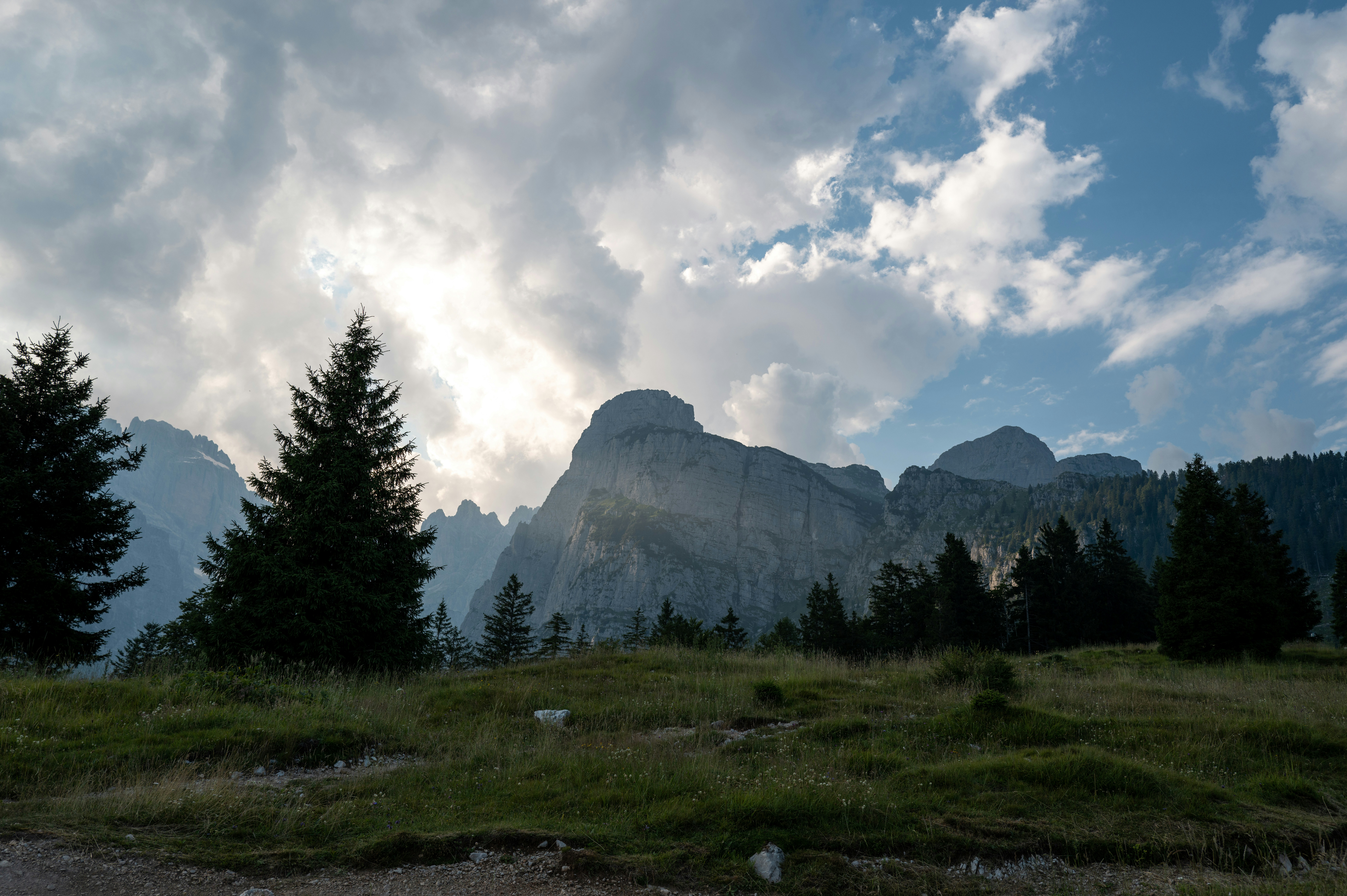 A grassy field with trees and mountains in the background