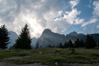 A grassy field with trees and mountains in the background