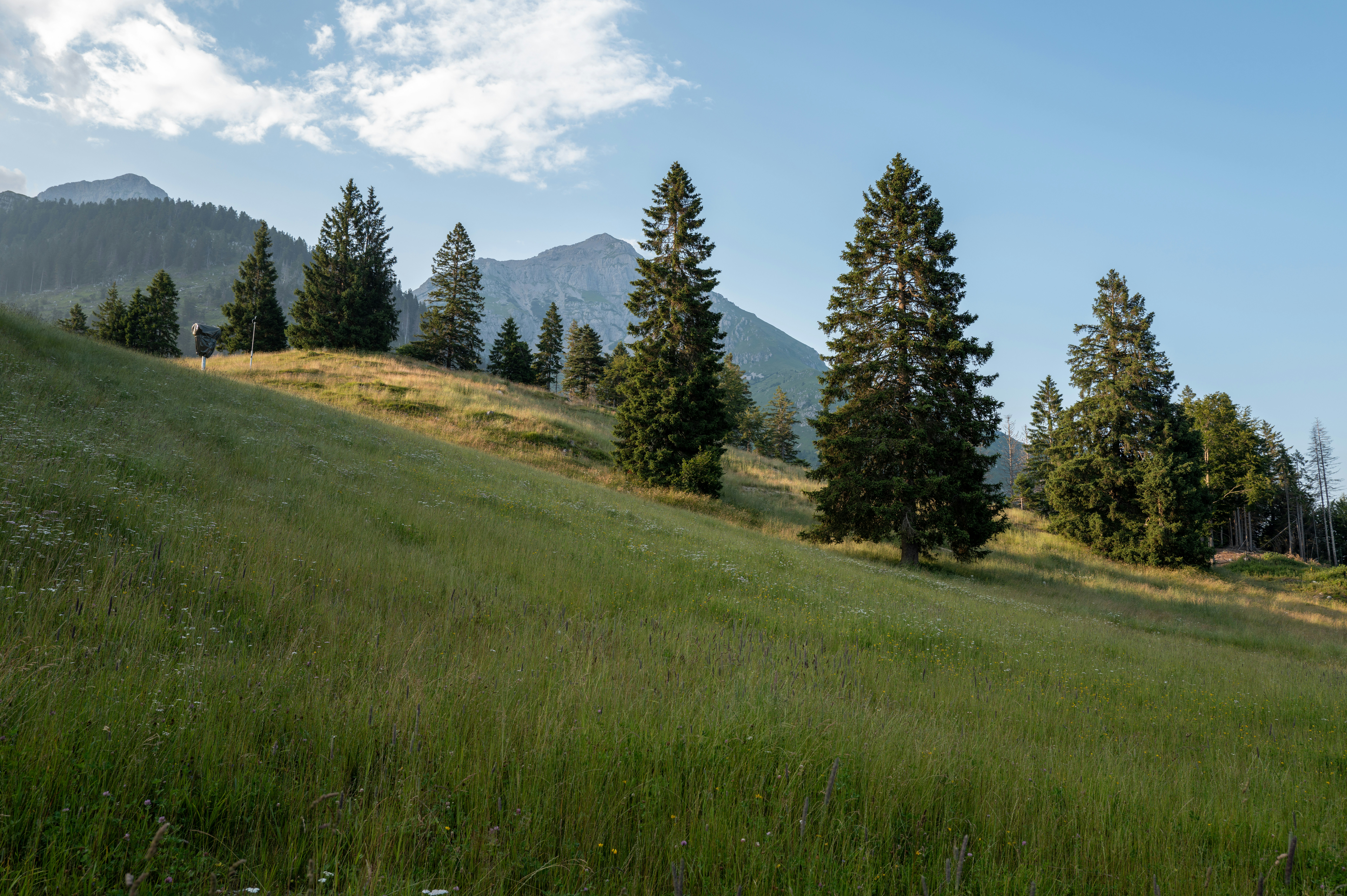 Photo by matteodelpiano