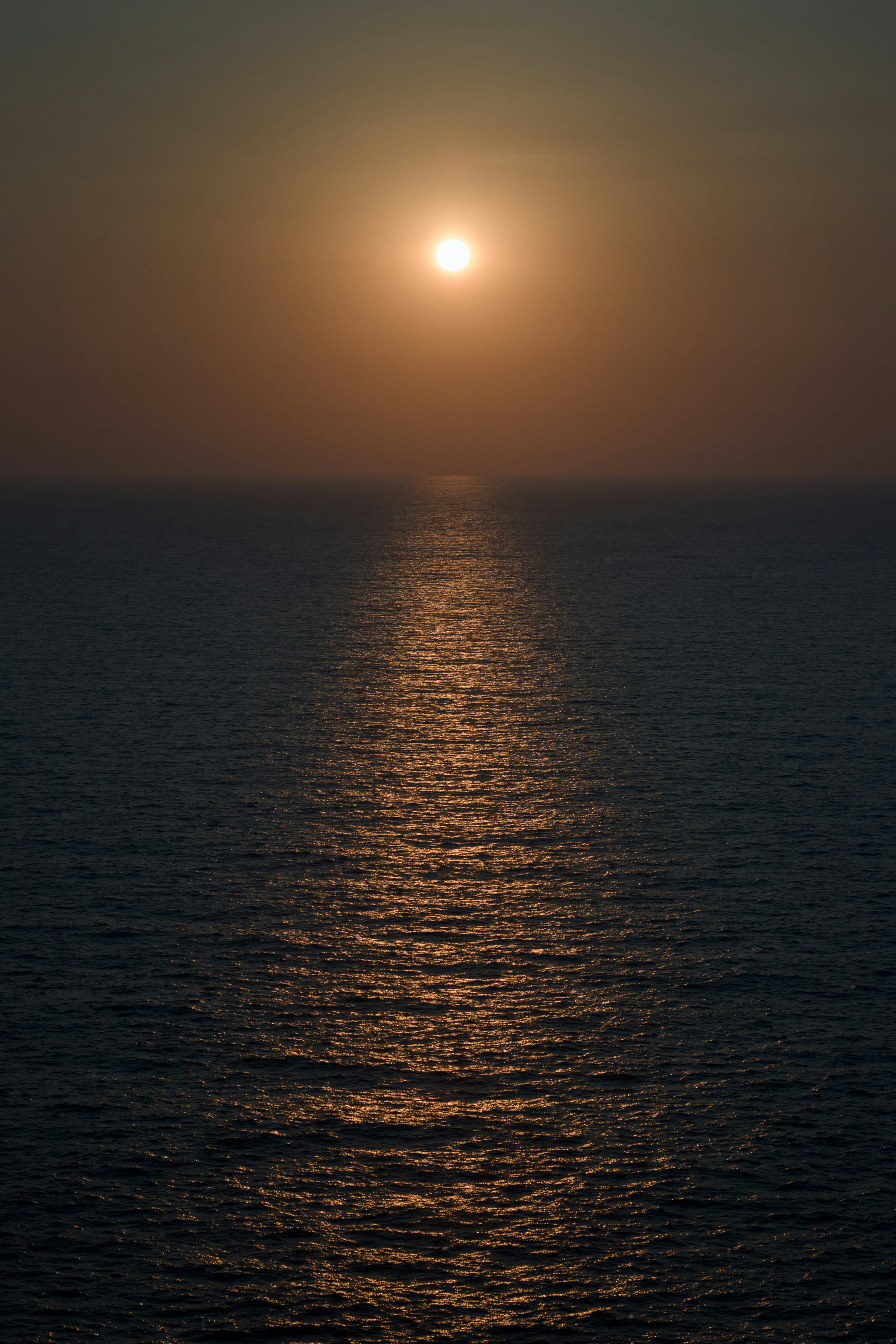 Photo by milanvankessel