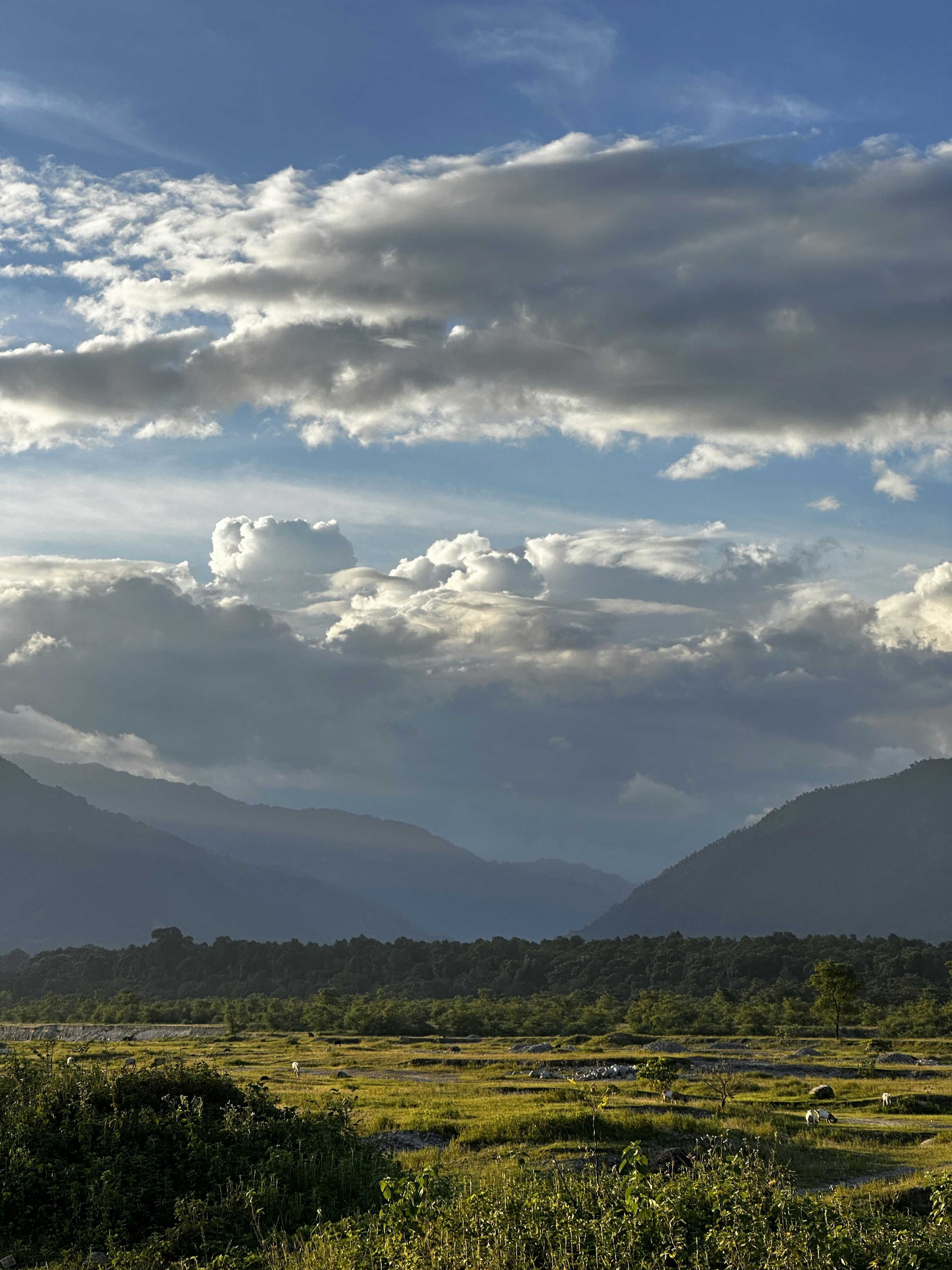 Photo by saptarsi_19