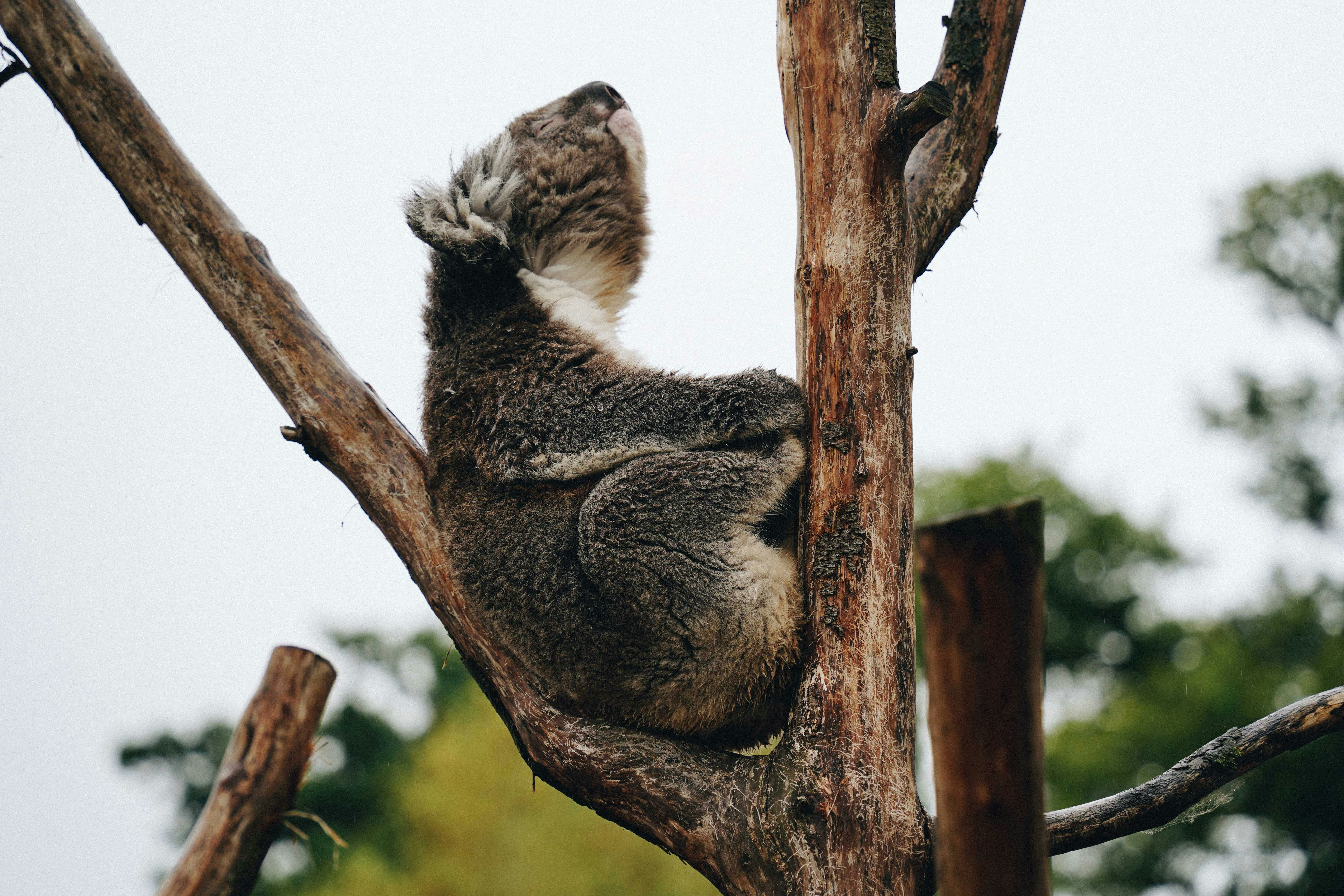 Photo by chrislawton