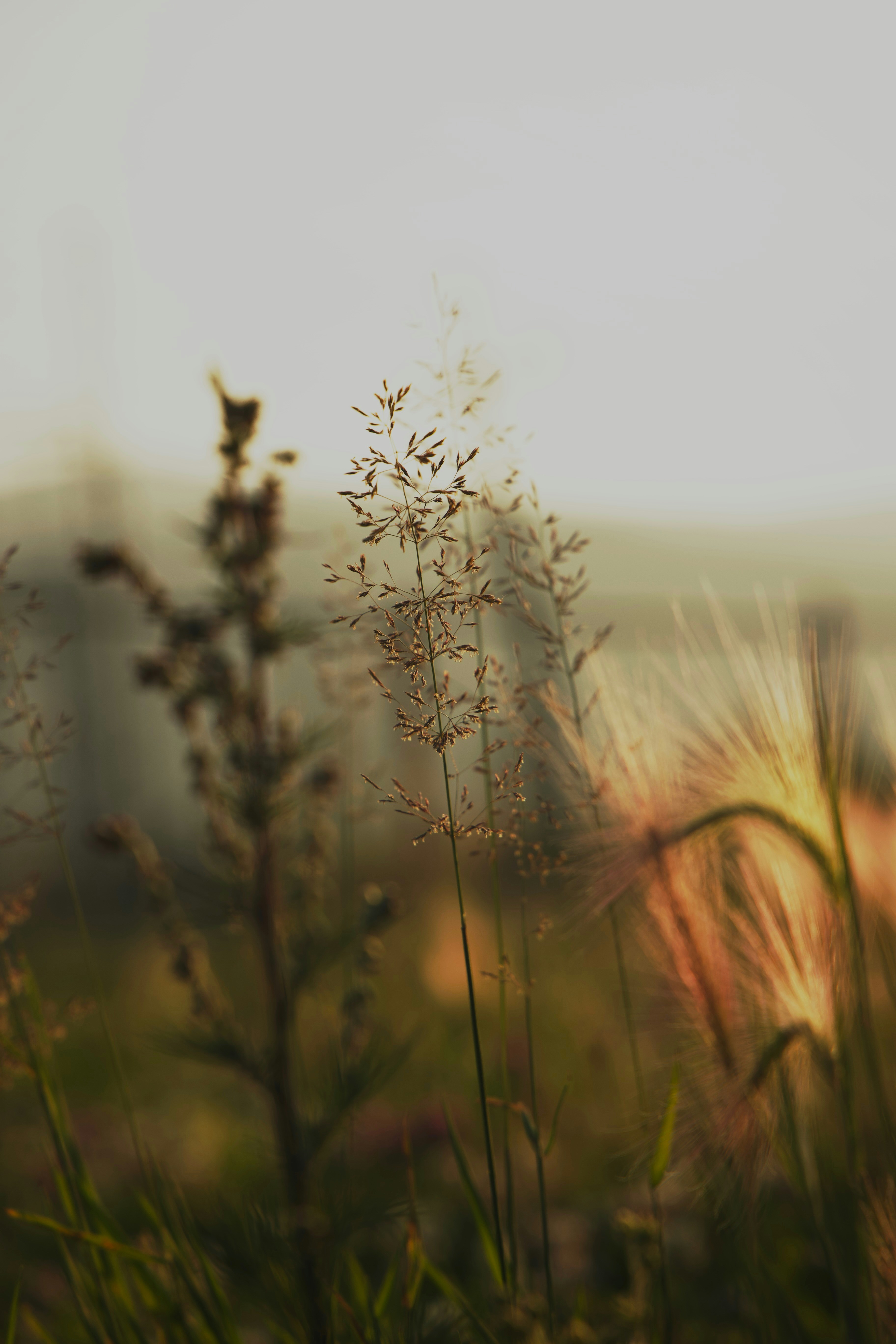 Photo by larisarunova