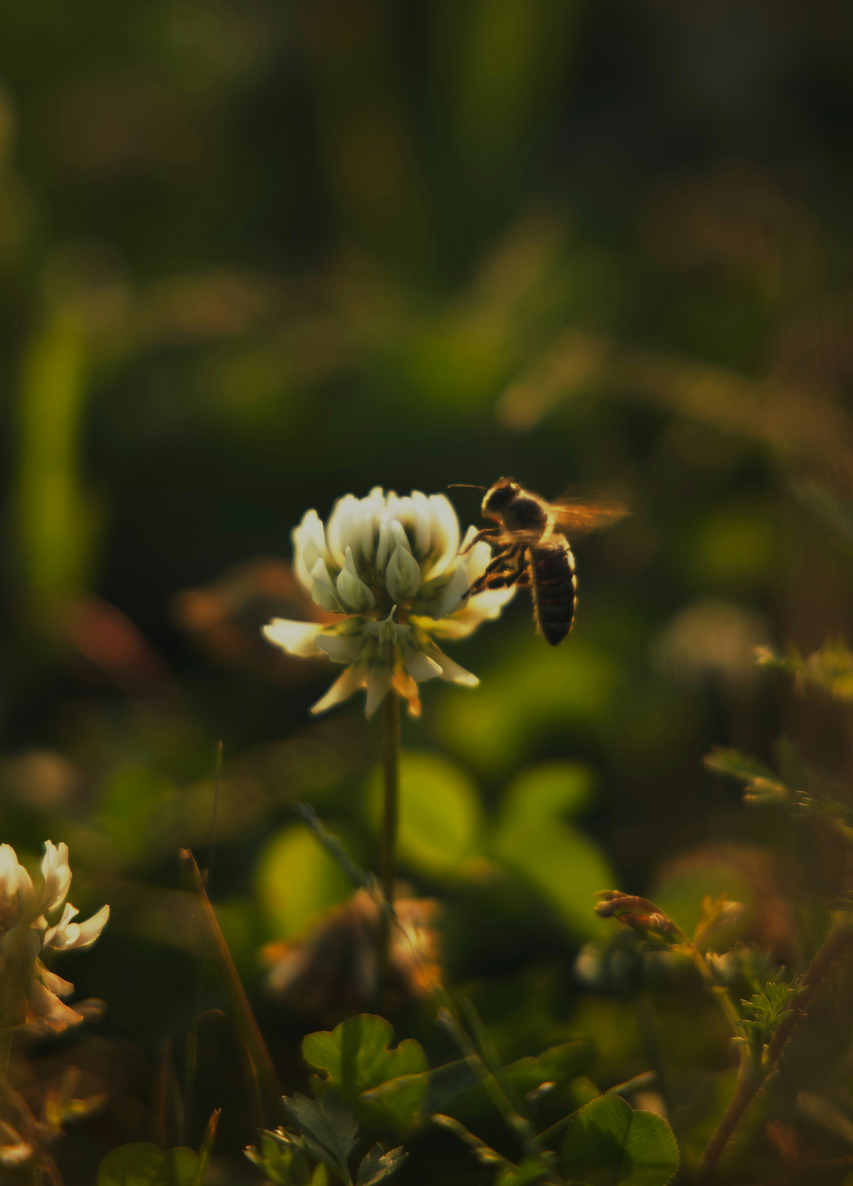 Photo by larisarunova