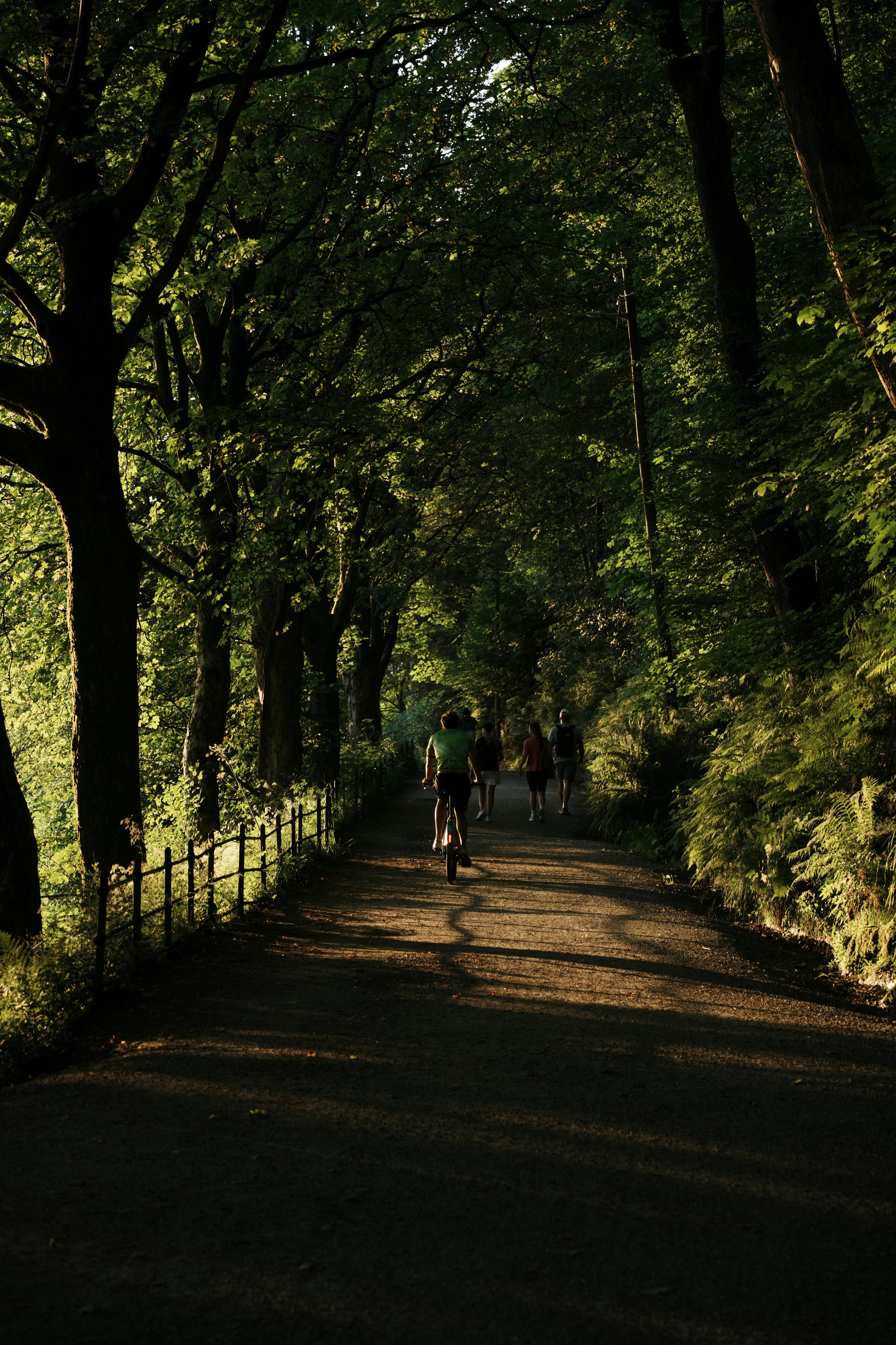 A couple of people riding bikes down a dirt road