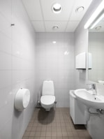 A bathroom with a toilet, sink, and mirror