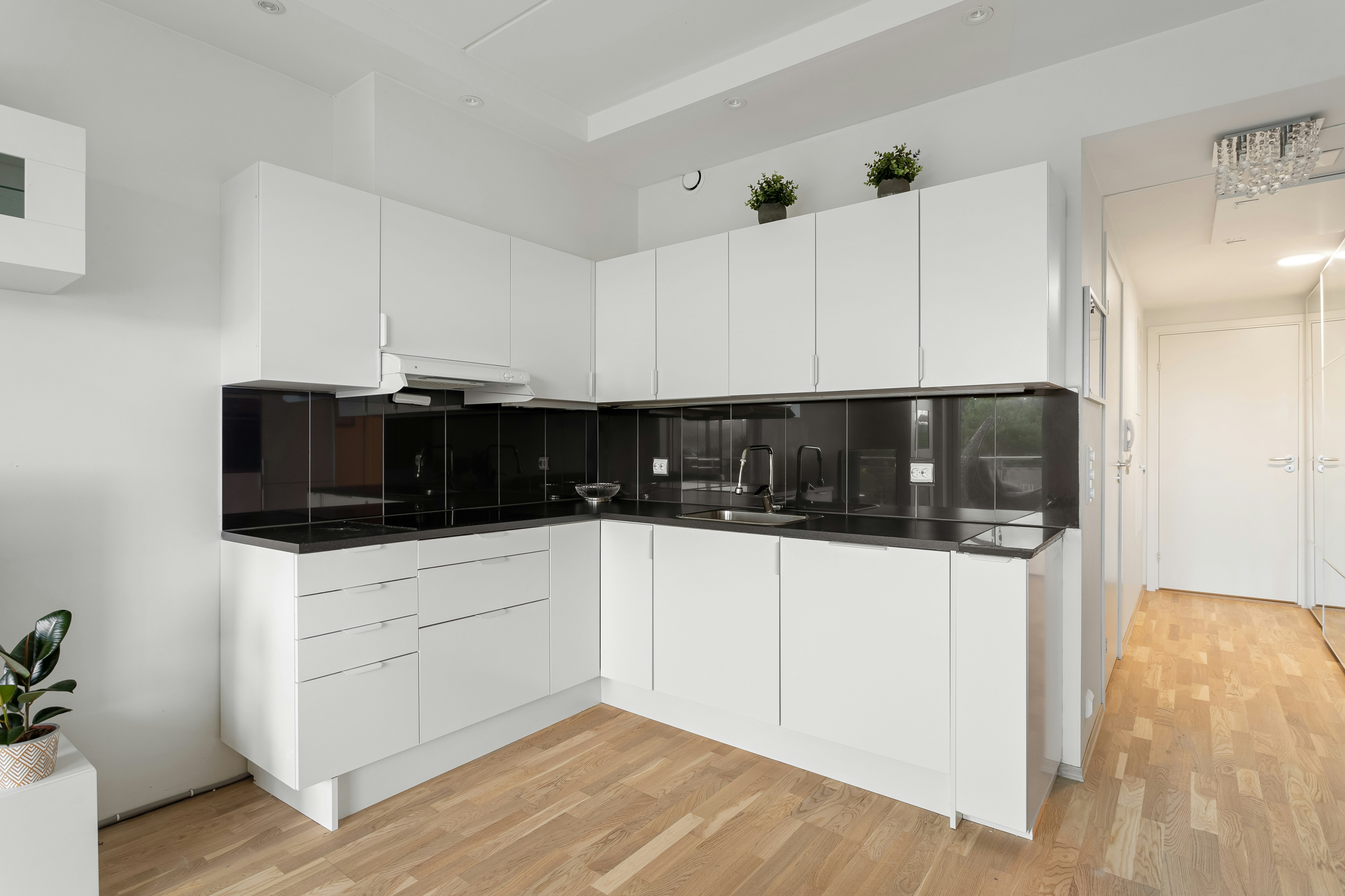 Photo by alextyson195