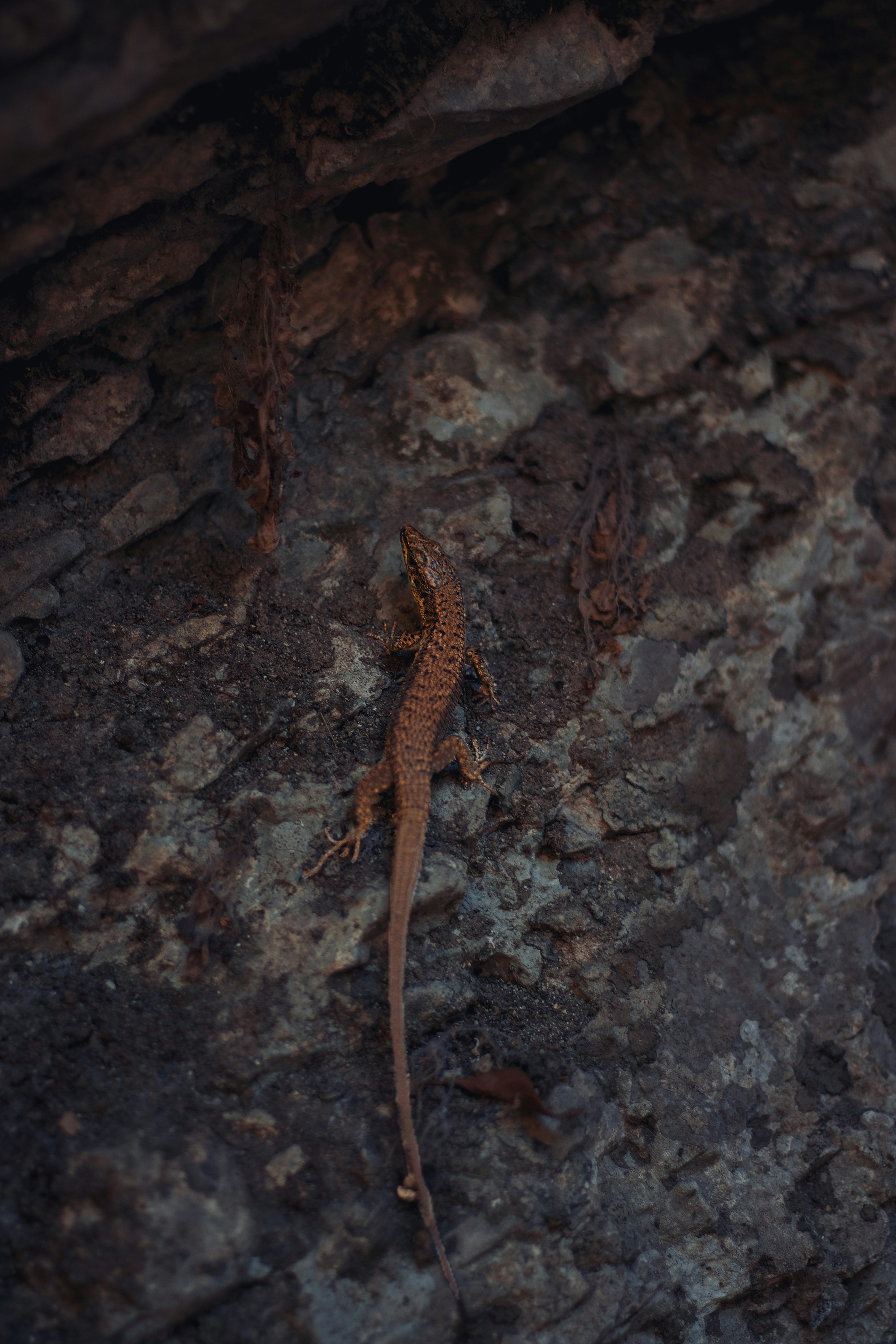 Photo by milanvankessel