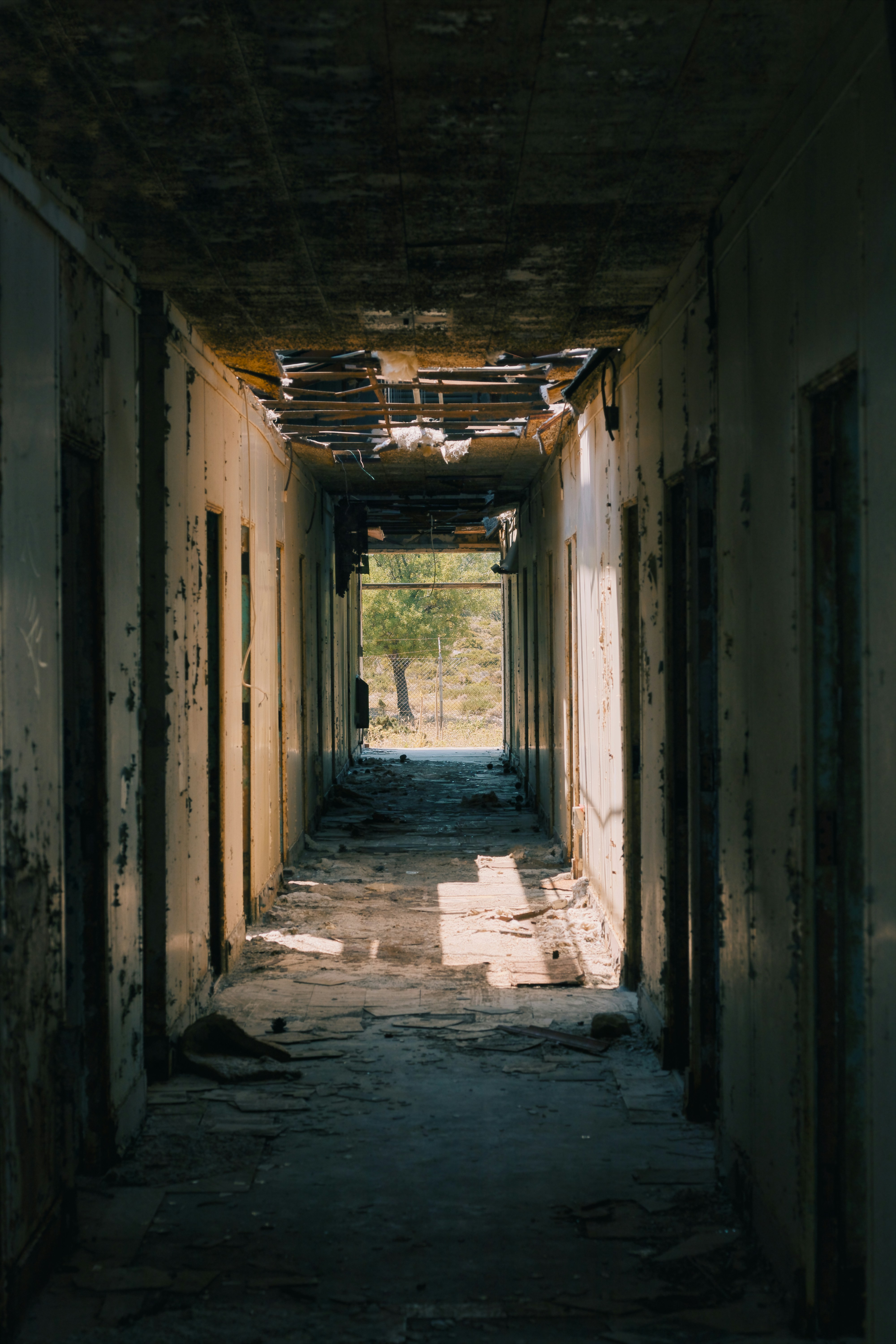 Photo by milanvankessel