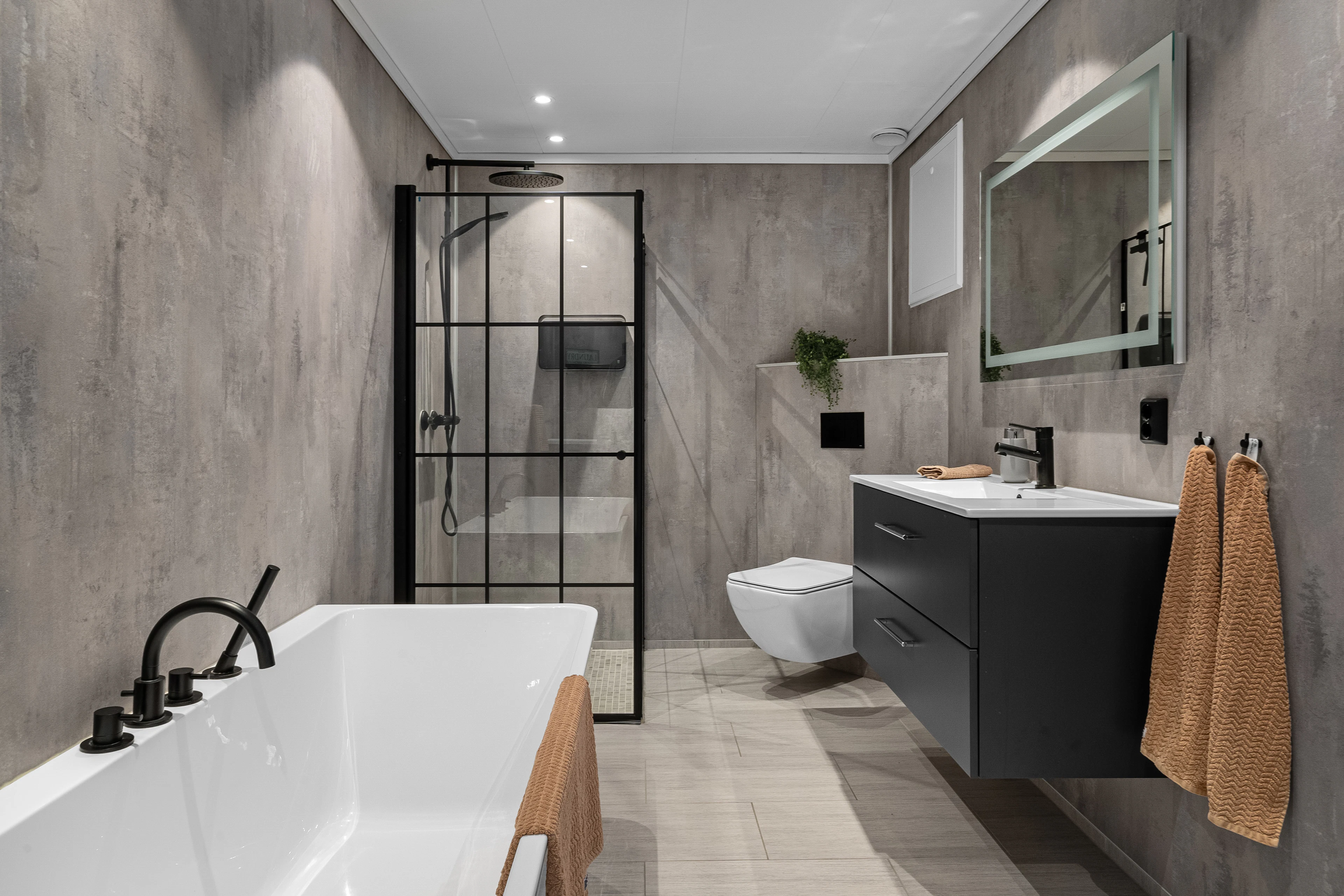 Tub and shower behind a steel-framed glass screen