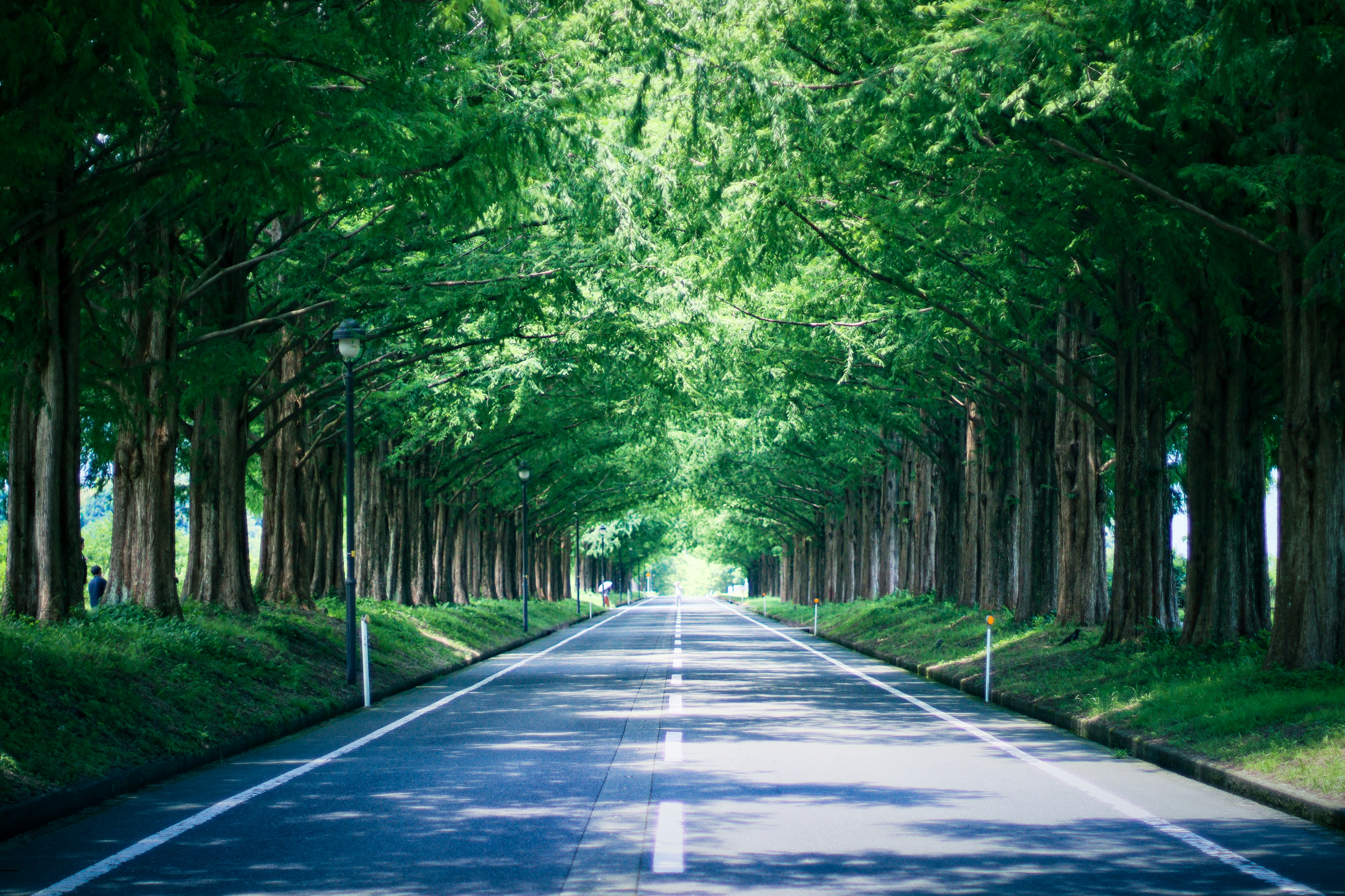 Photo by naturalphotos08