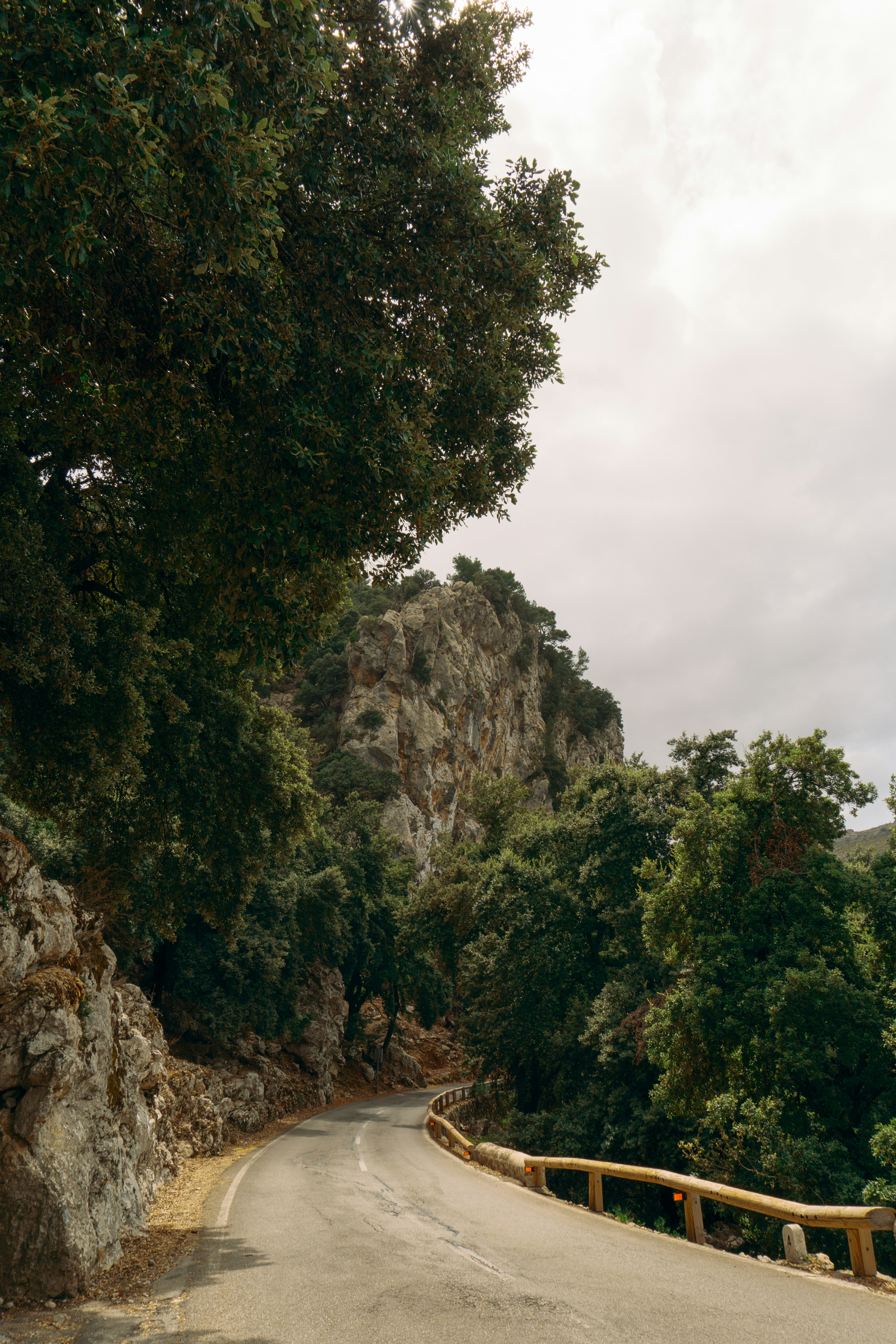 A motorcycle is parked on the side of a road