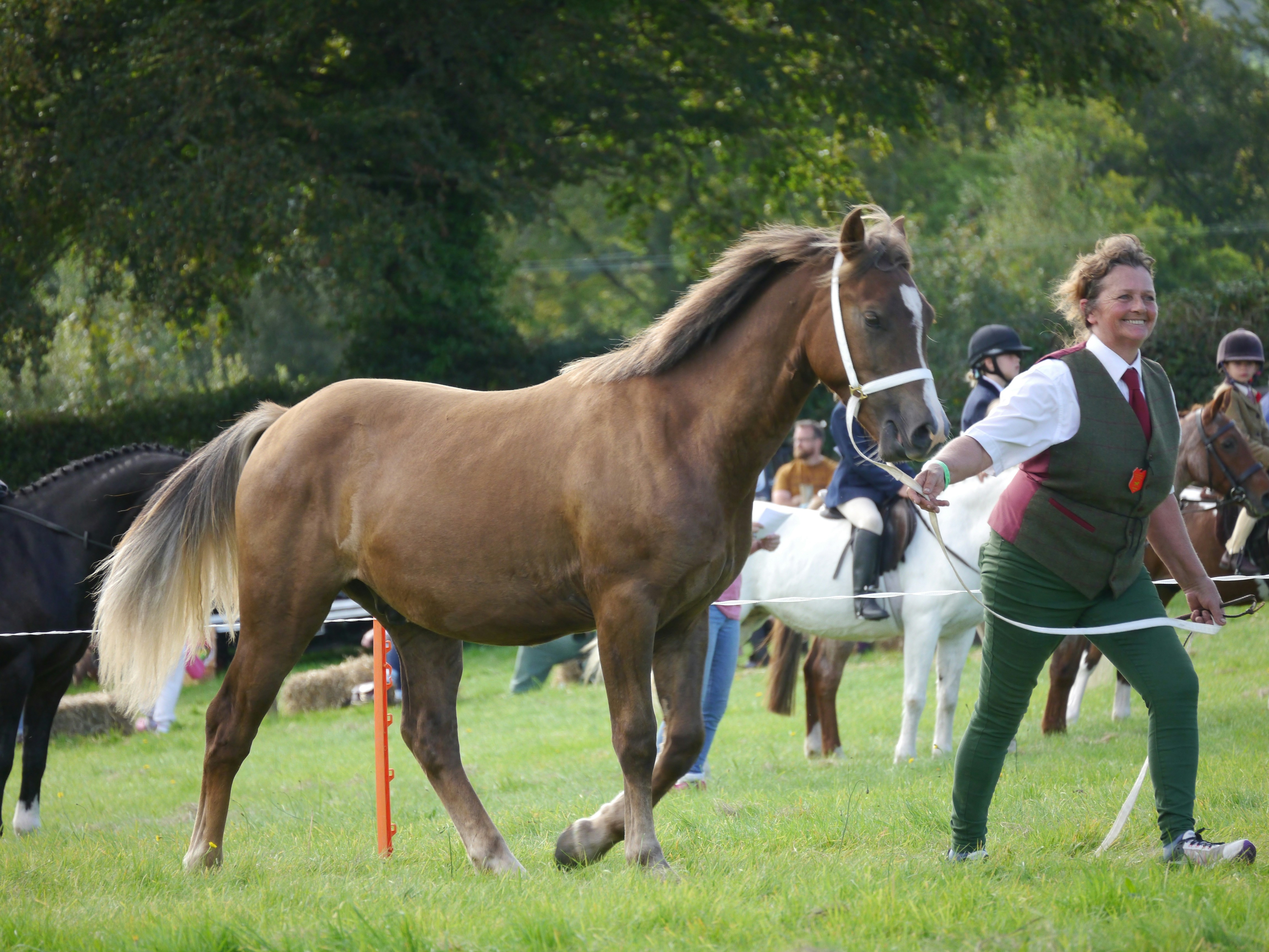 Photo by iqsphotography