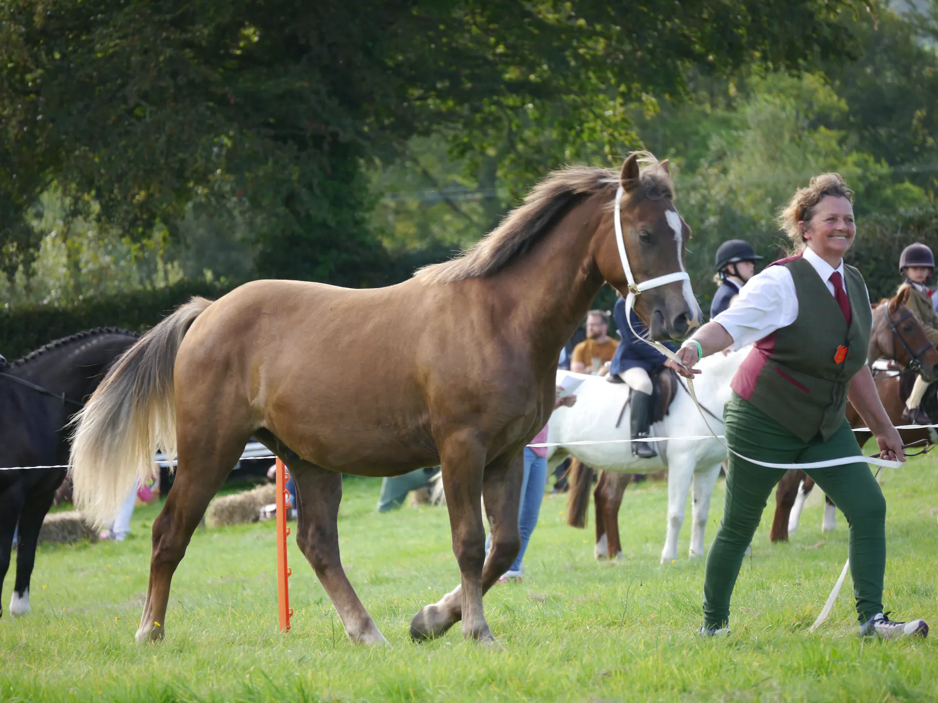 Royal Ascot 2034 countdown header photo