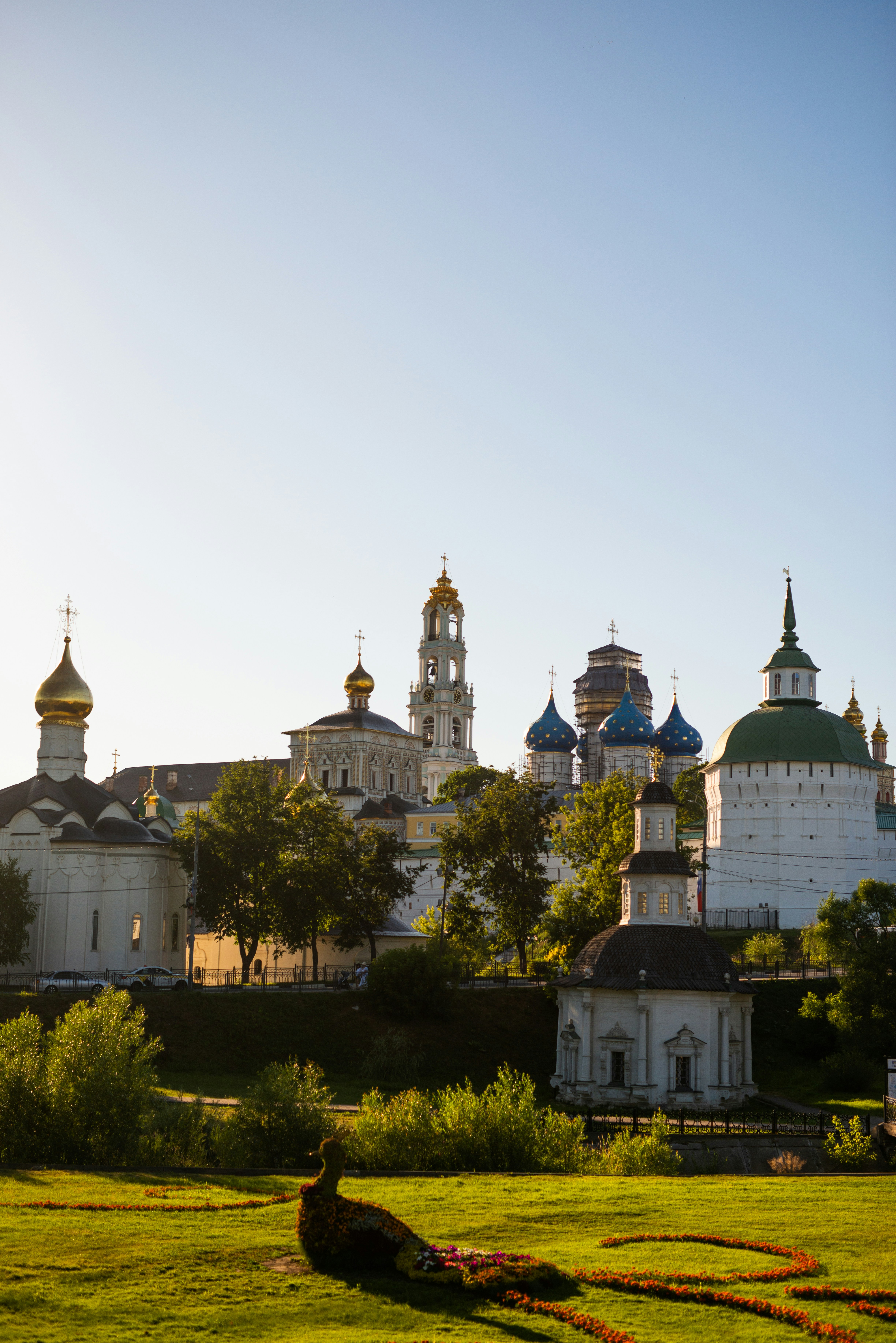 A bird is sitting in the grass in front of a building