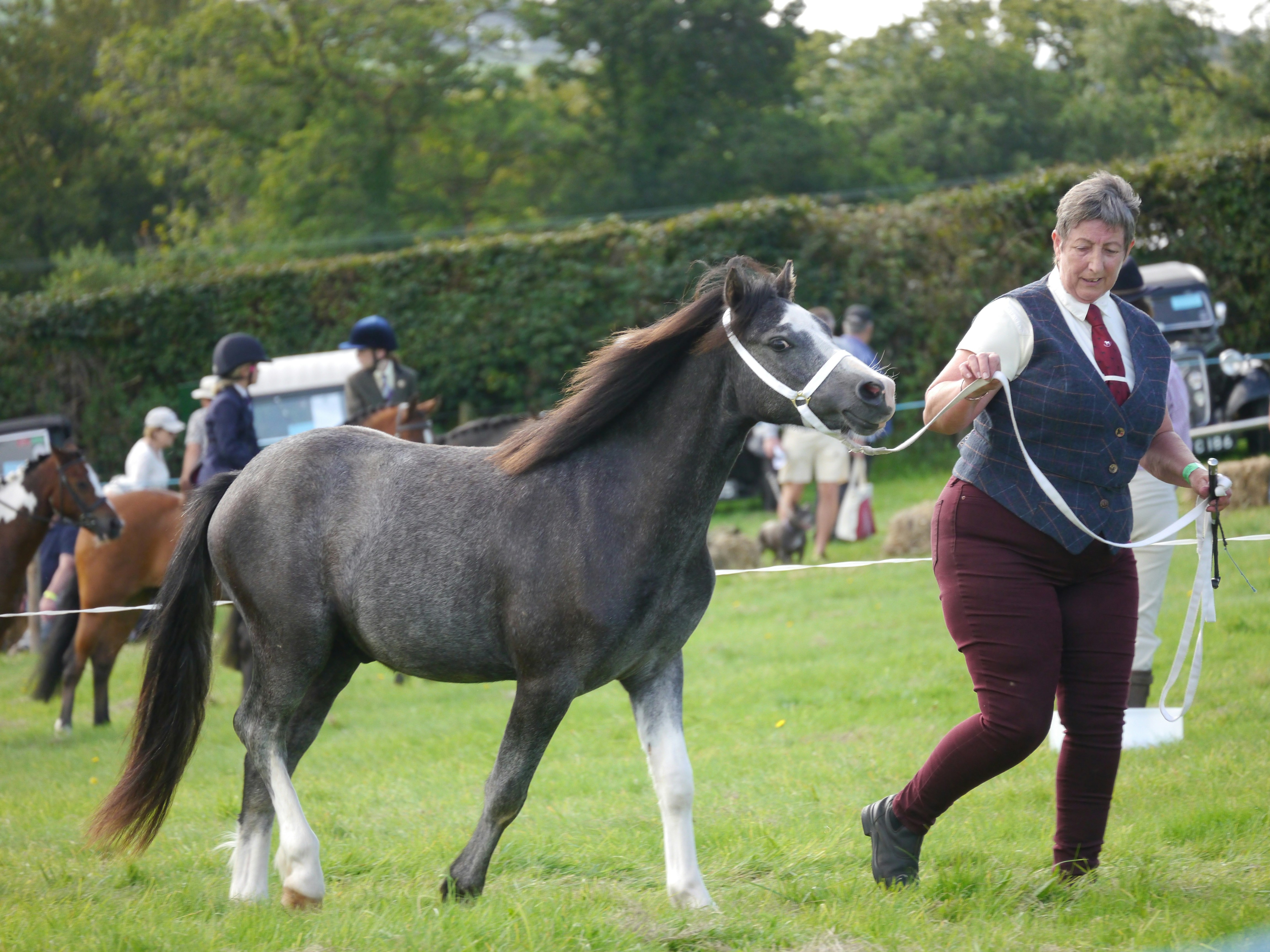 Photo by iqsphotography