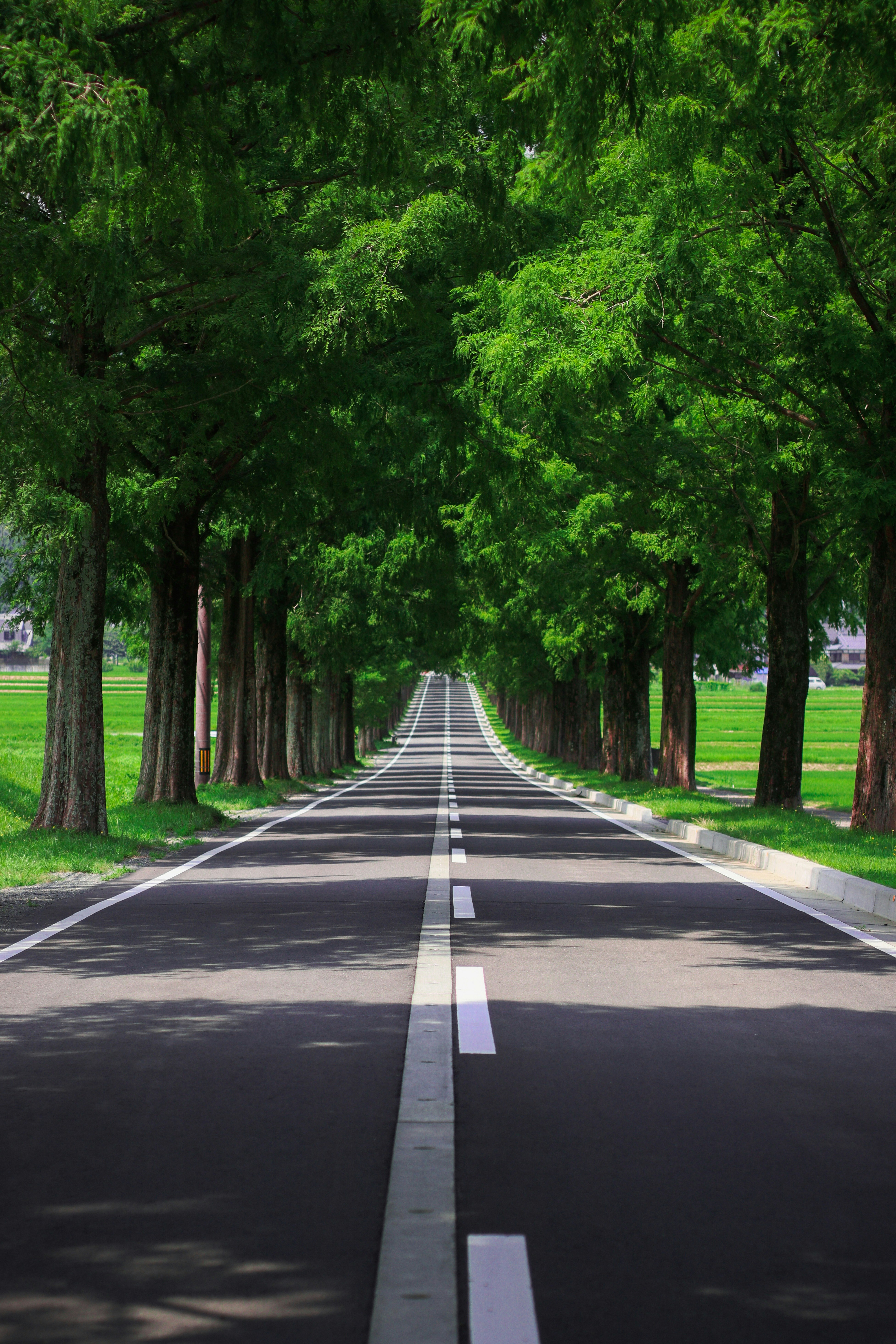 Photo by naturalphotos08