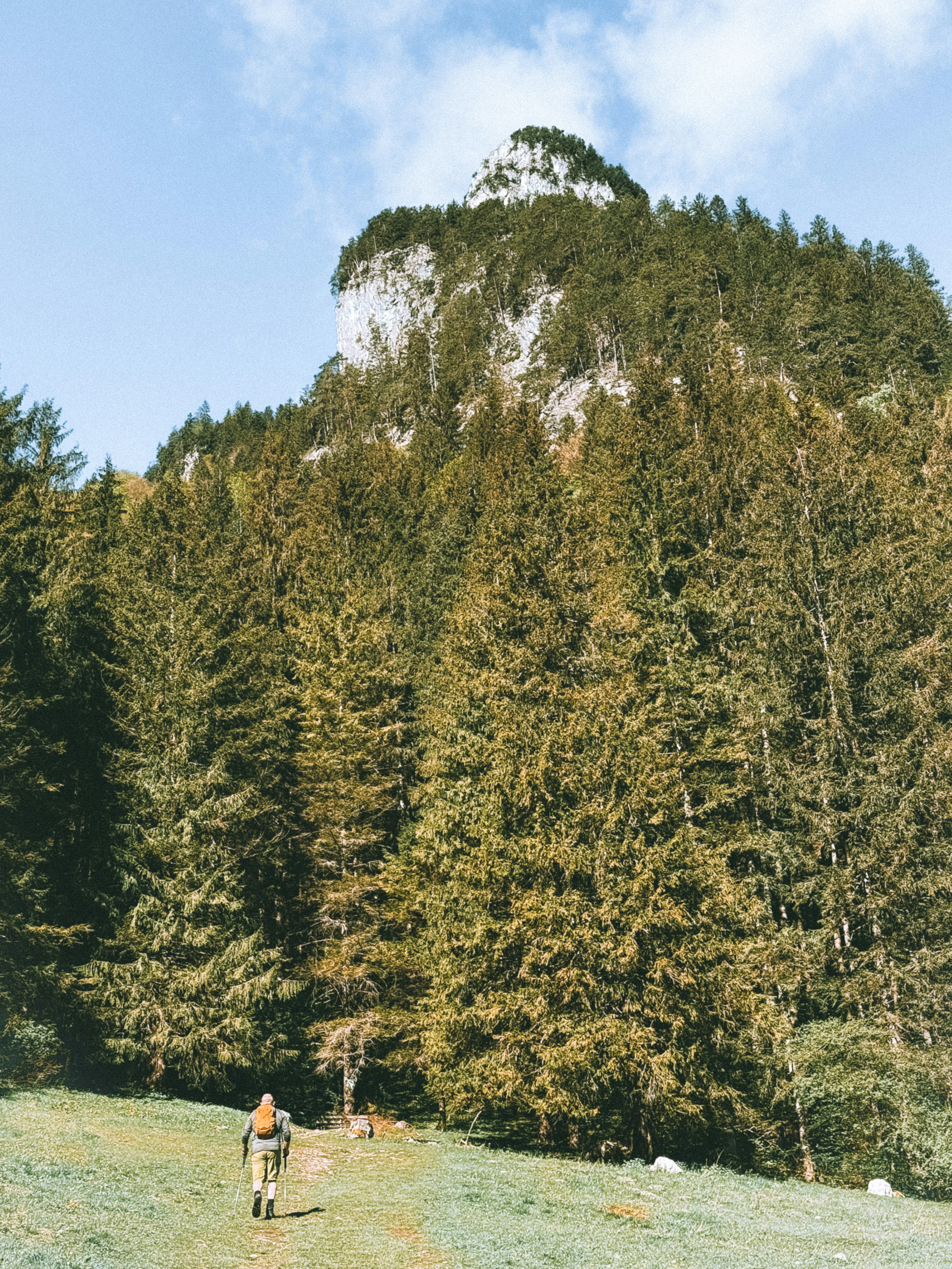 Photo by zvada_photo