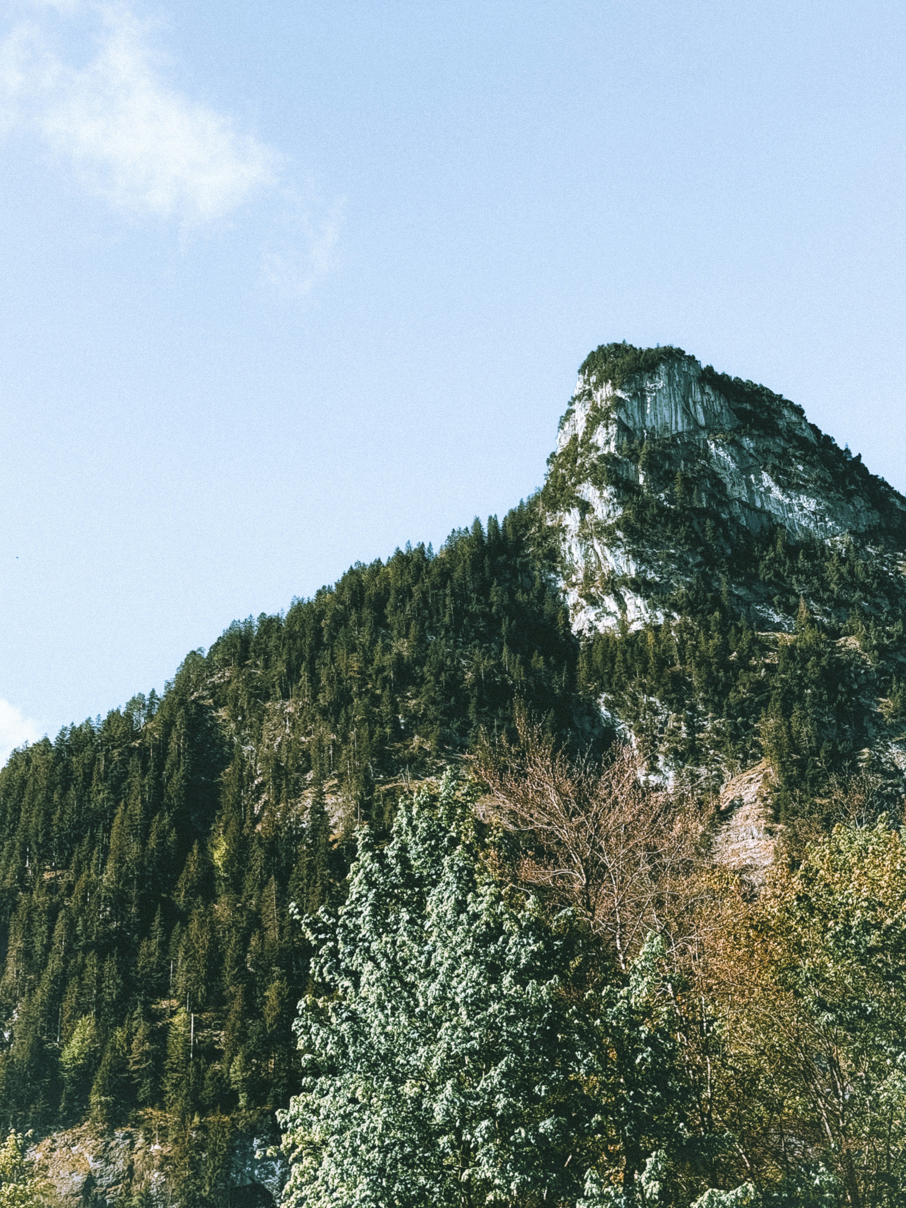 Photo by zvada_photo