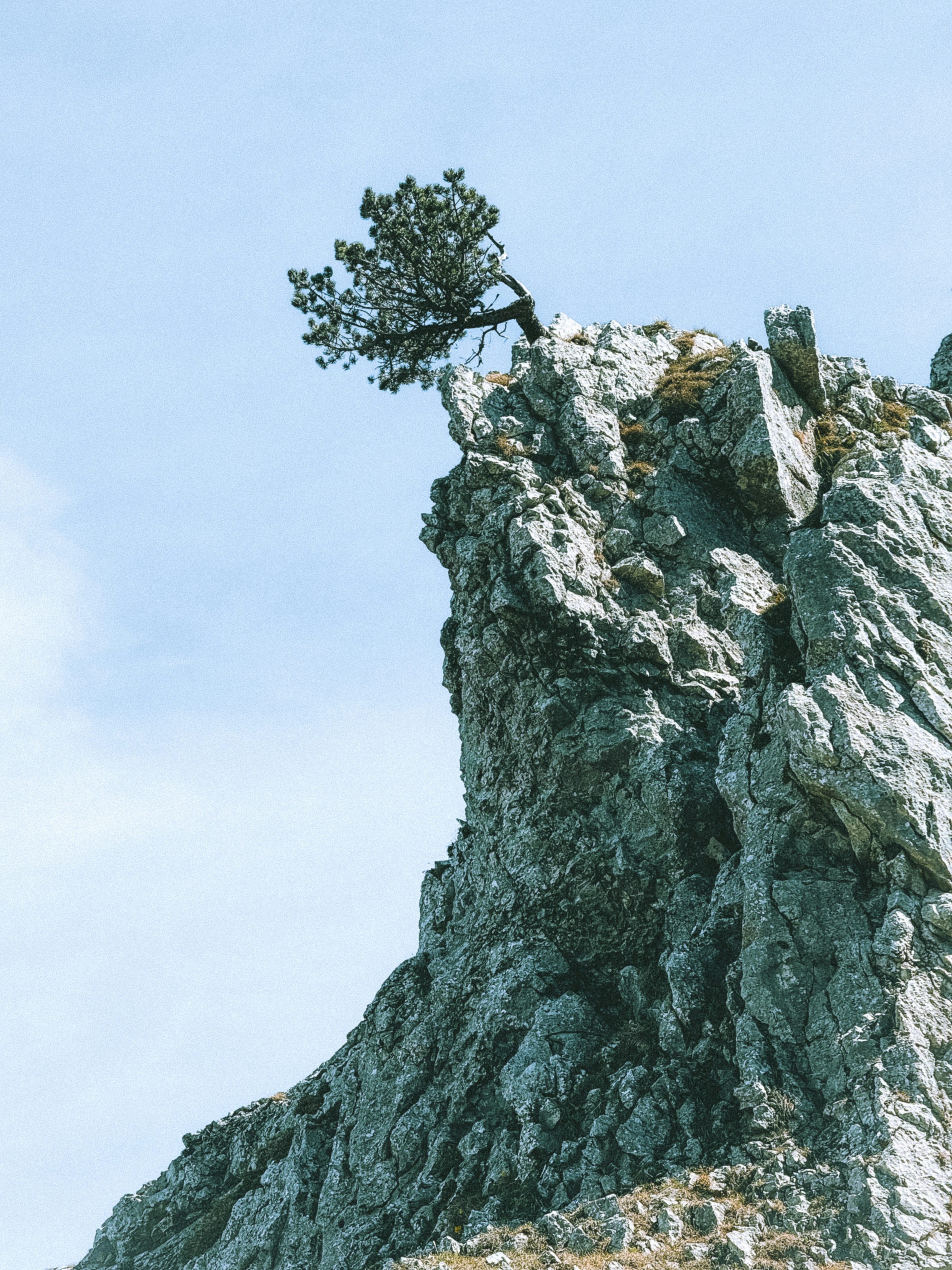 Photo by zvada_photo