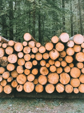 A pile of logs sitting in the middle of a forest