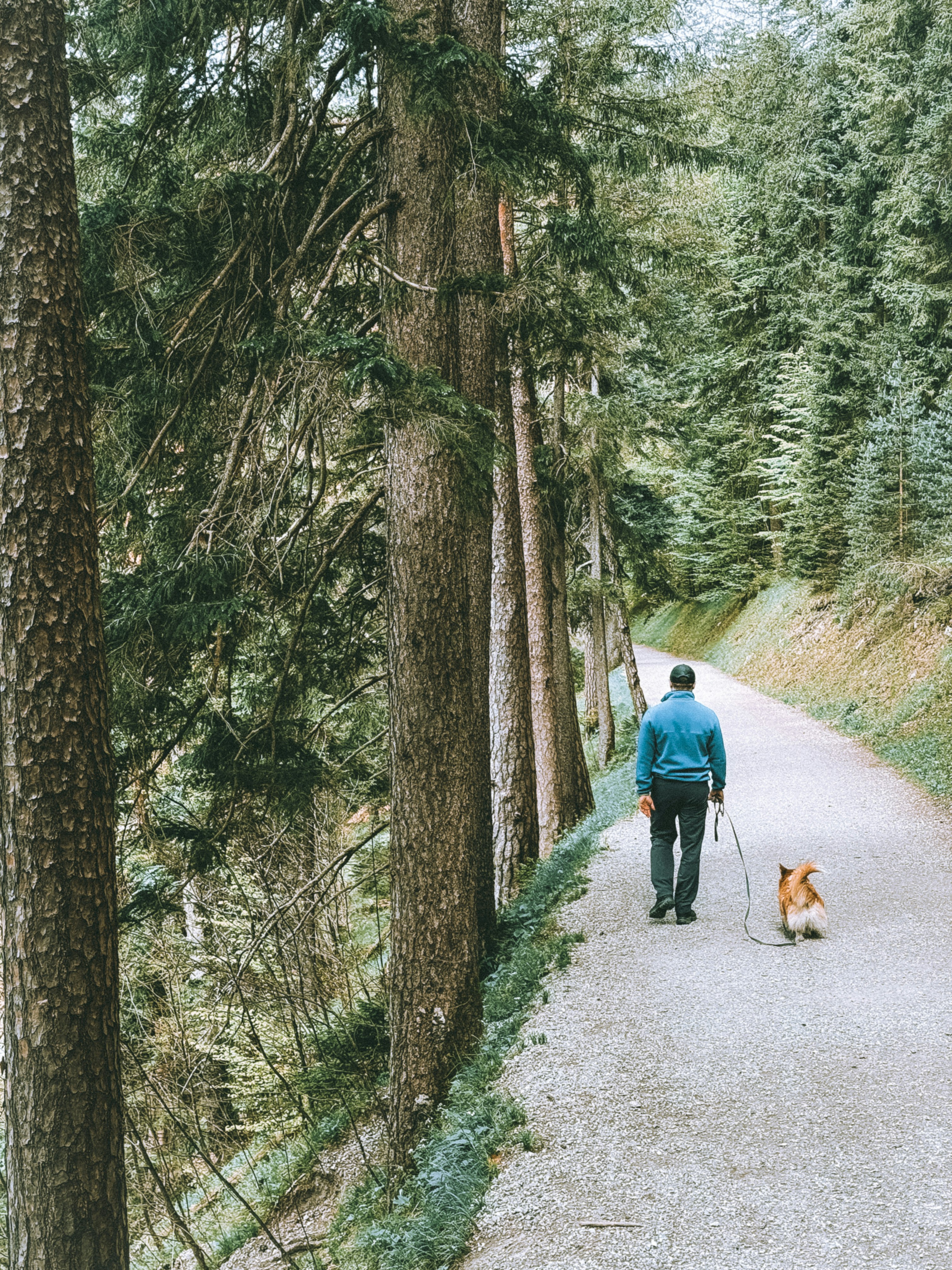 Photo by zvada_photo