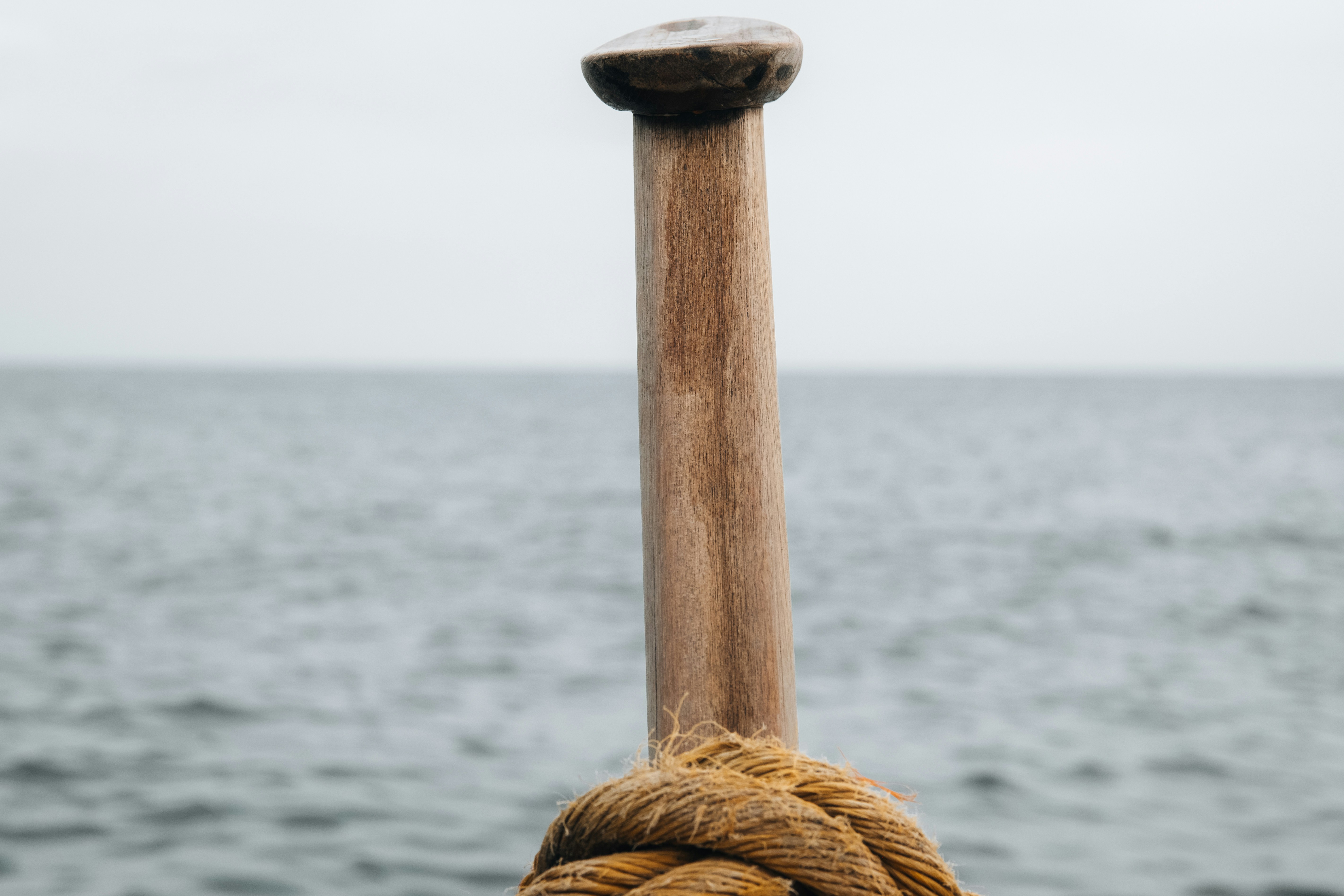 Seaborn 활용법 총정리! 스타일부터 트릭까지