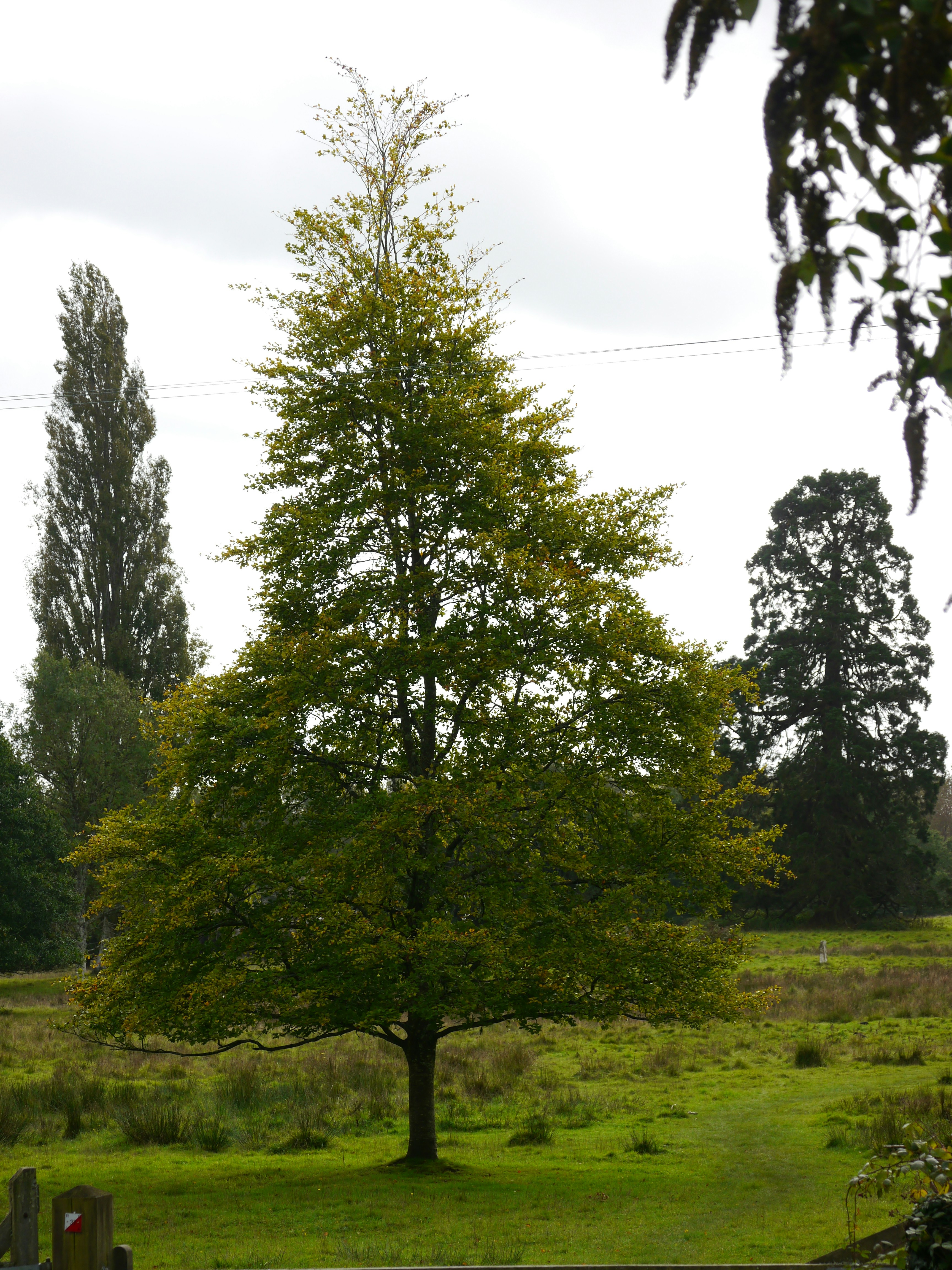 Photo by iqsphotography