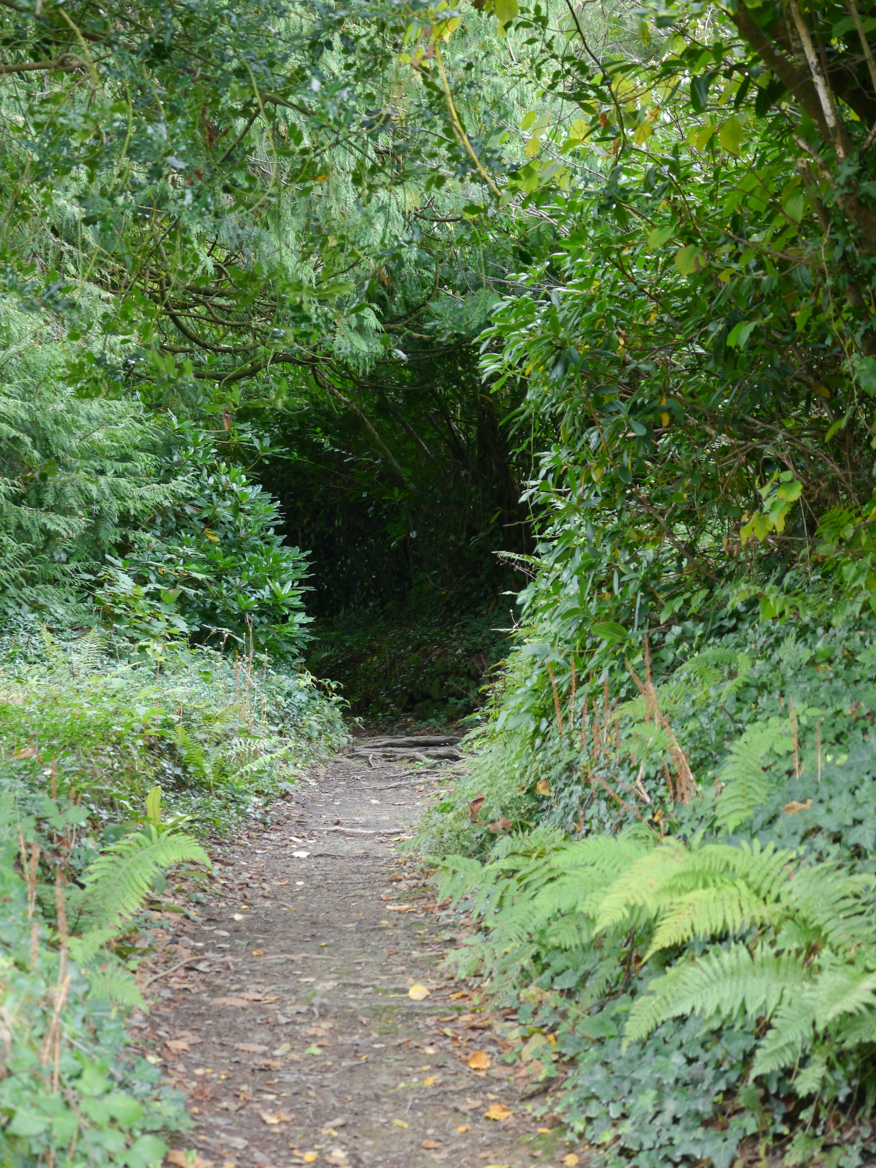 Photo by iqsphotography