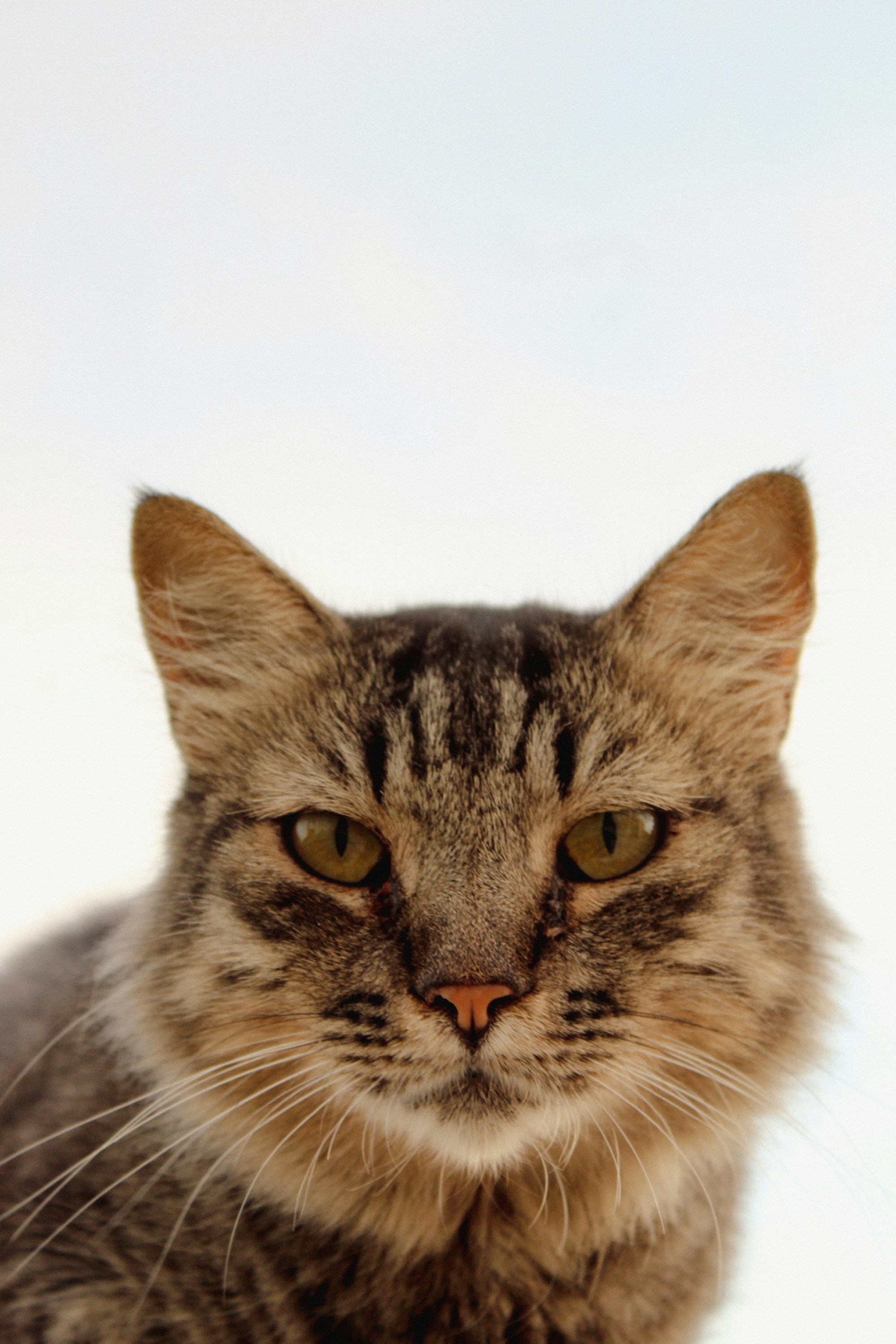 Photo by shobhamagdalaporta