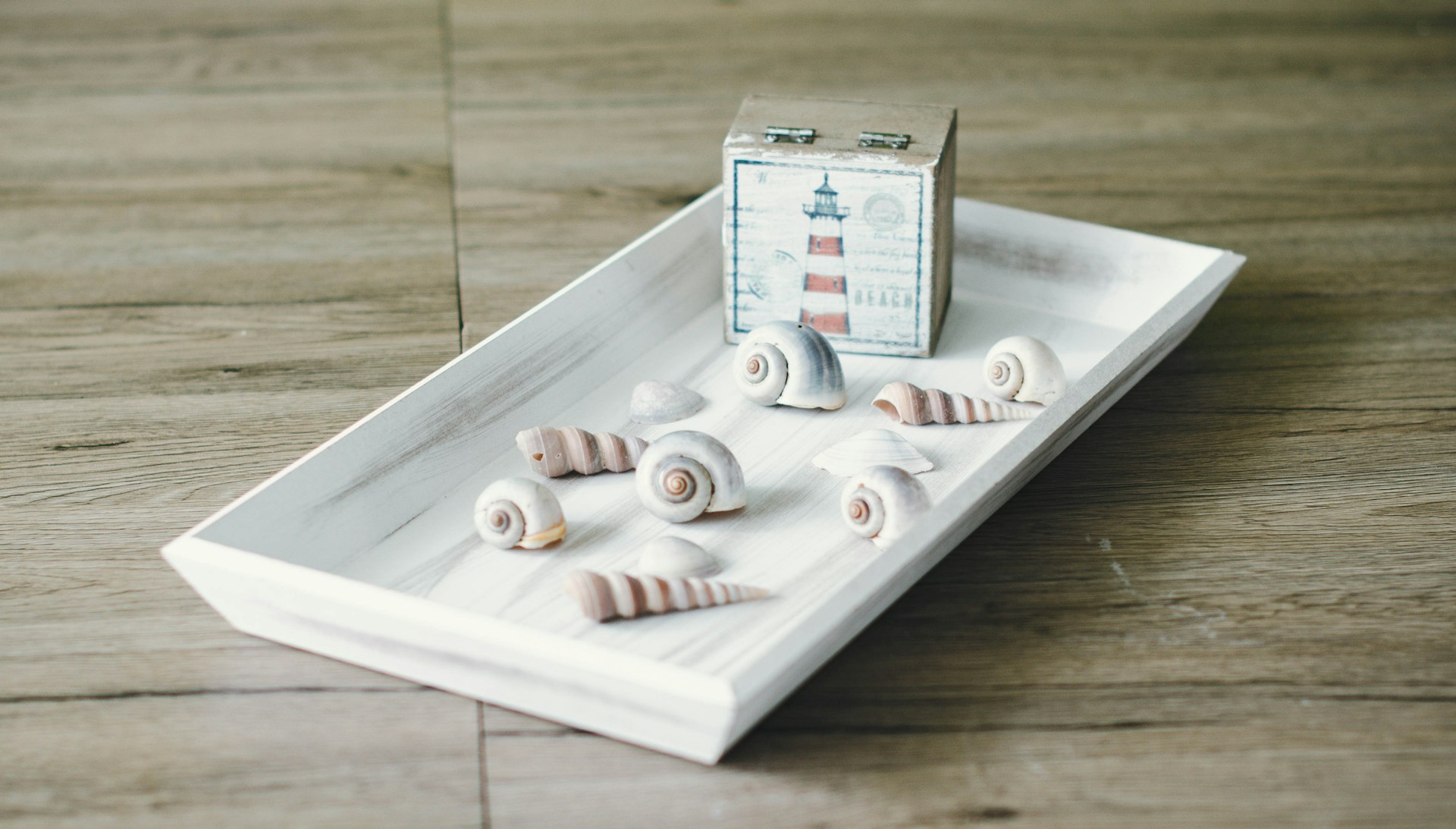 A white tray with seashells and a card on it