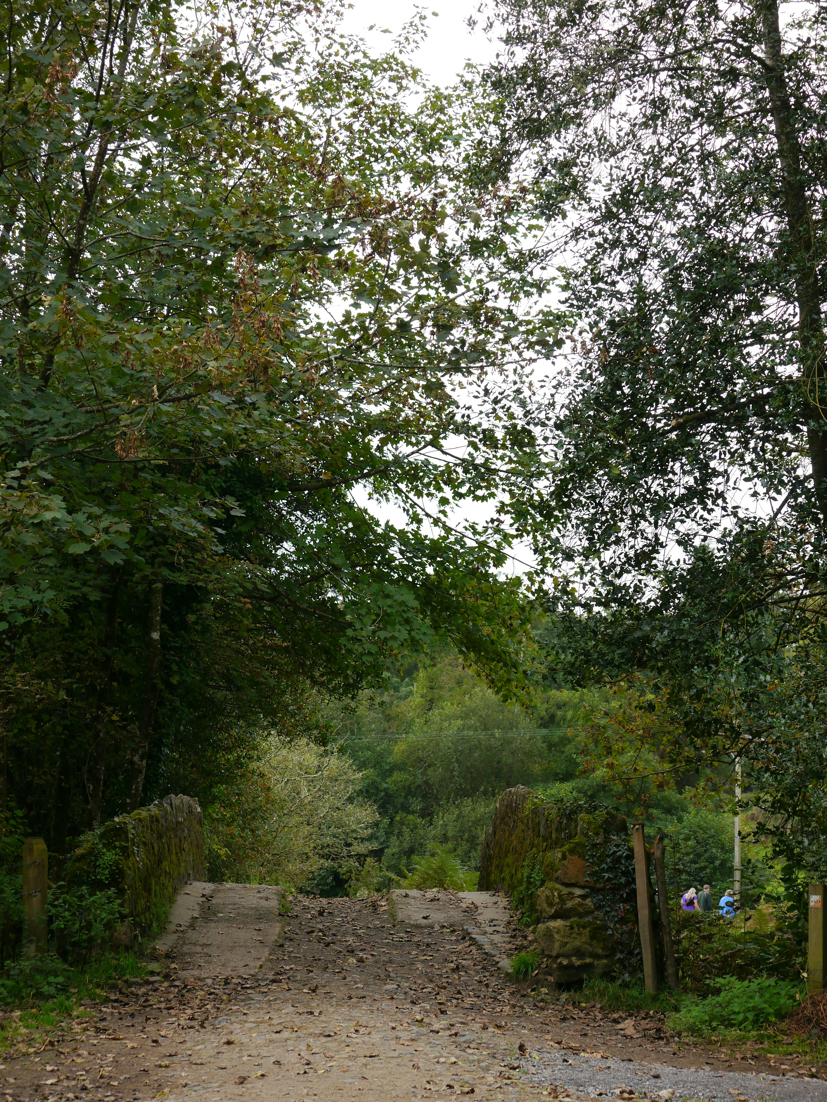 Photo by iqsphotography