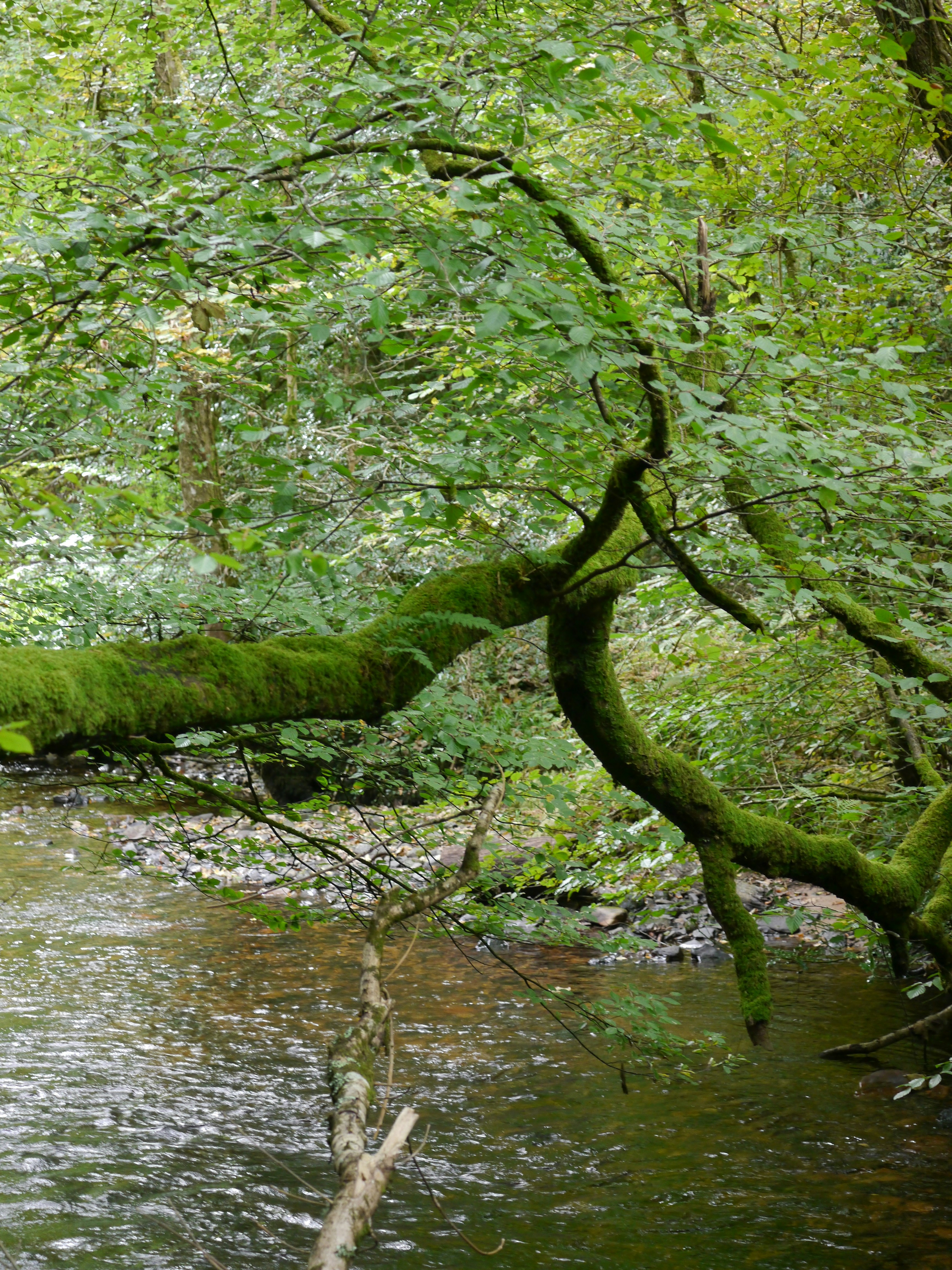 Photo by iqsphotography