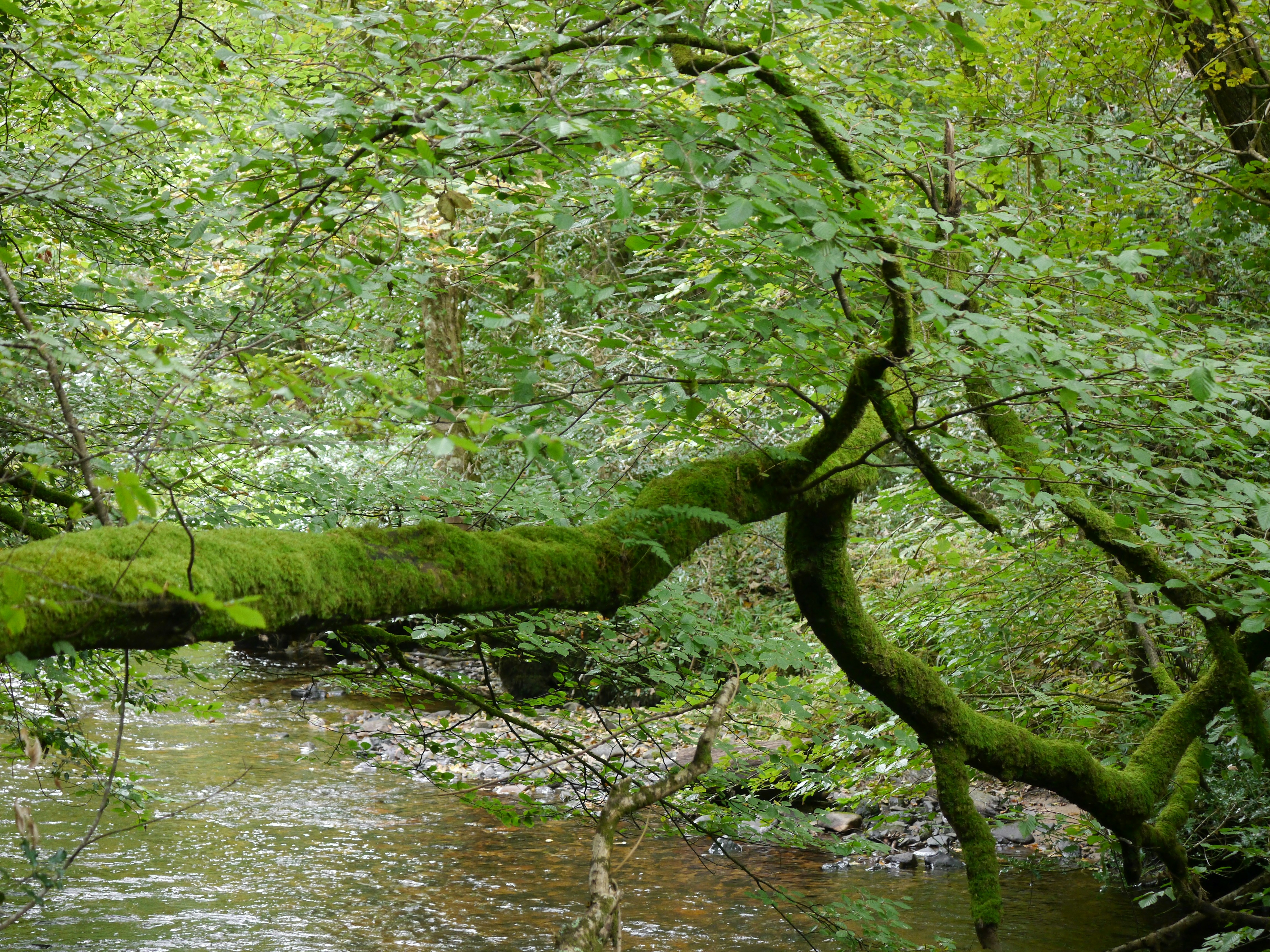 Photo by iqsphotography