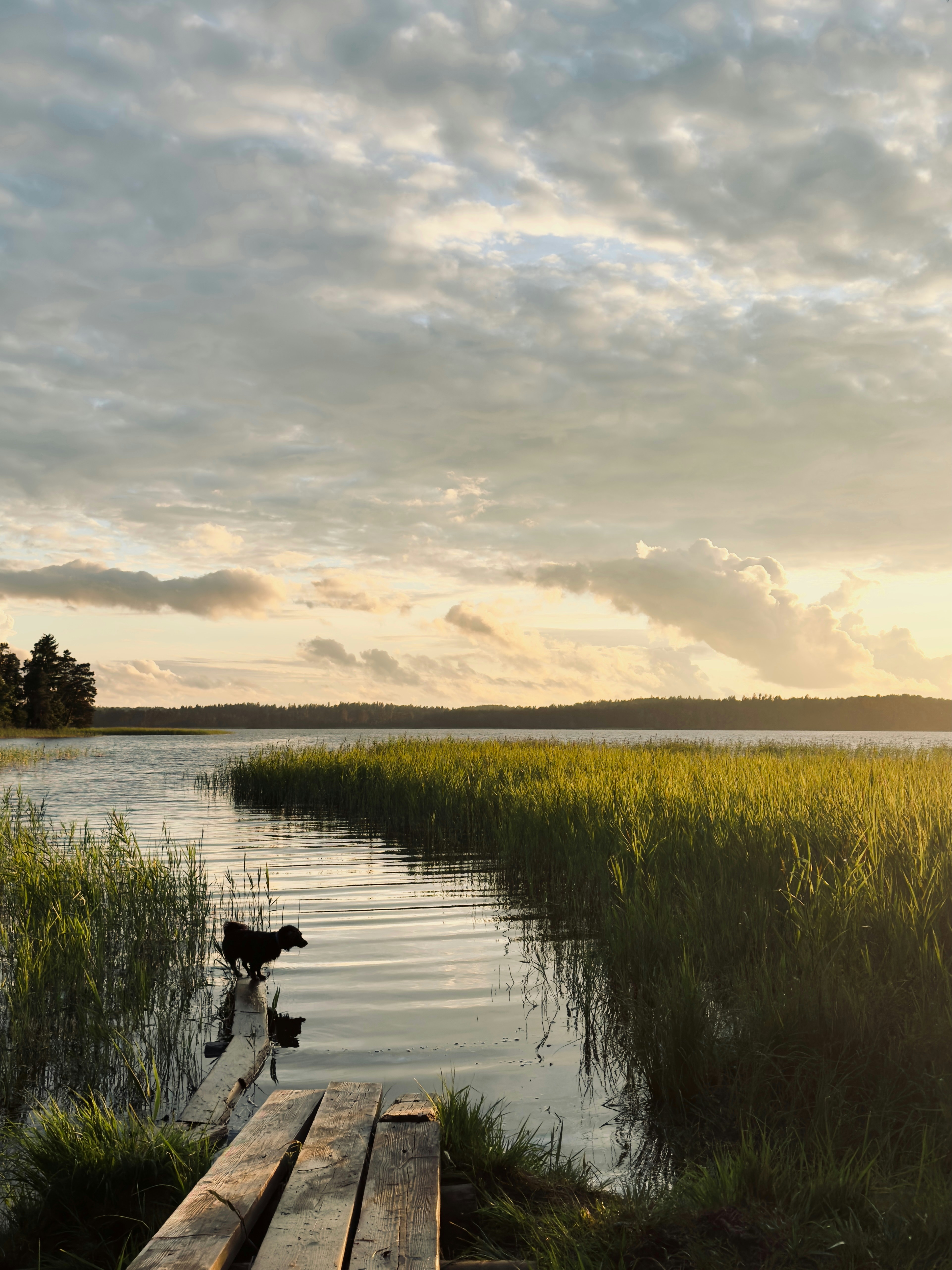 Photo by raymatthewx