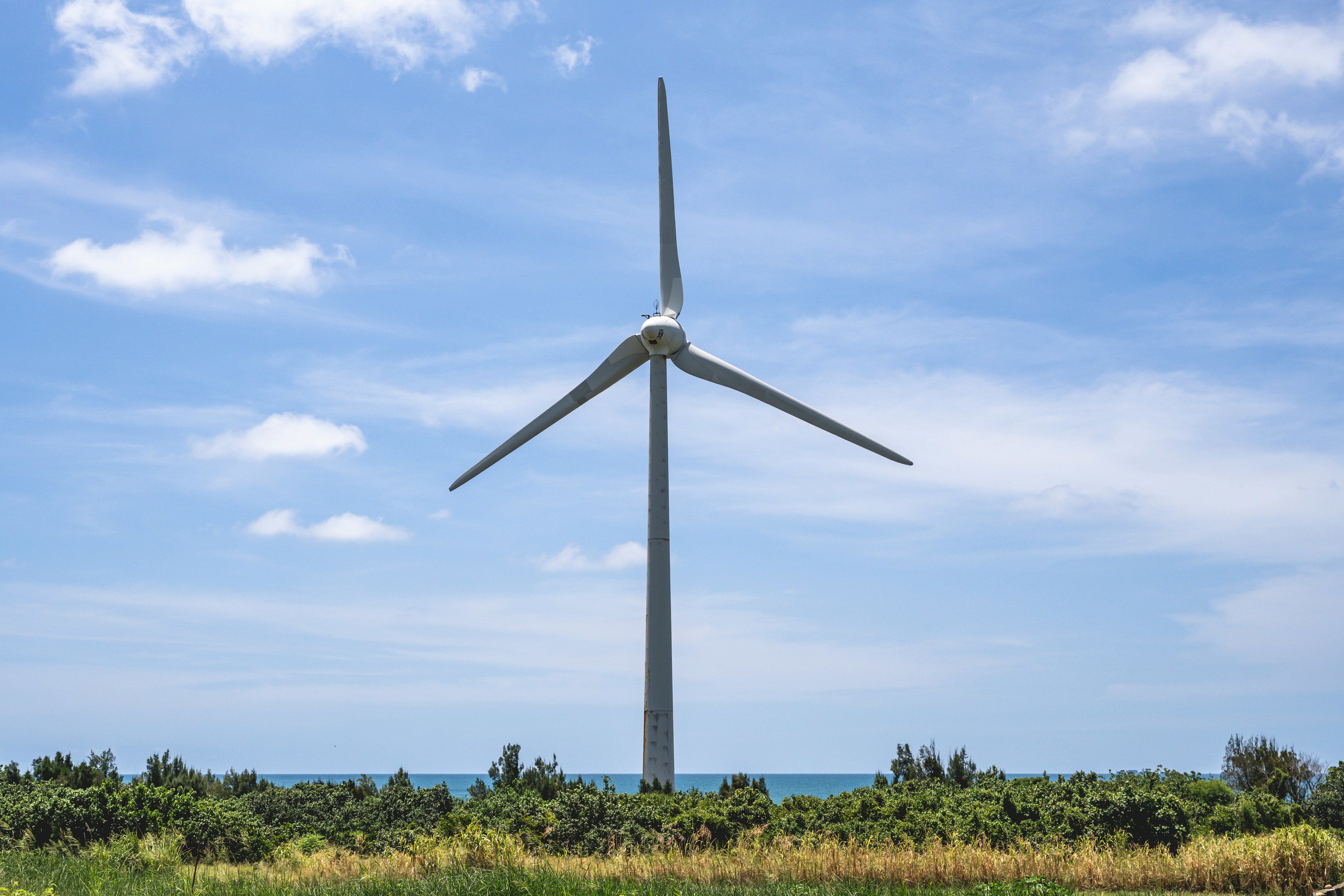 A wind turbine in the middle of a field