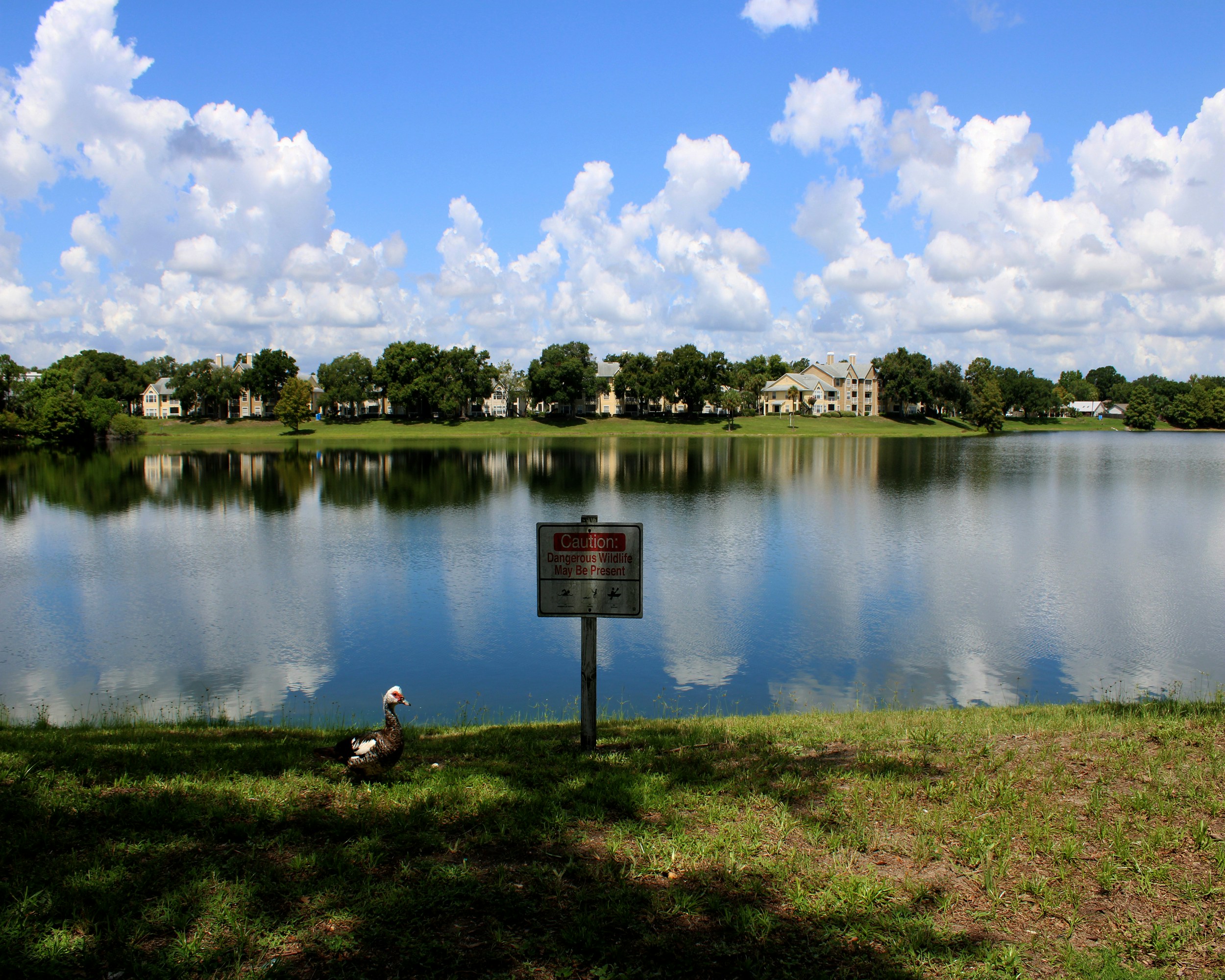 Kekukee Park